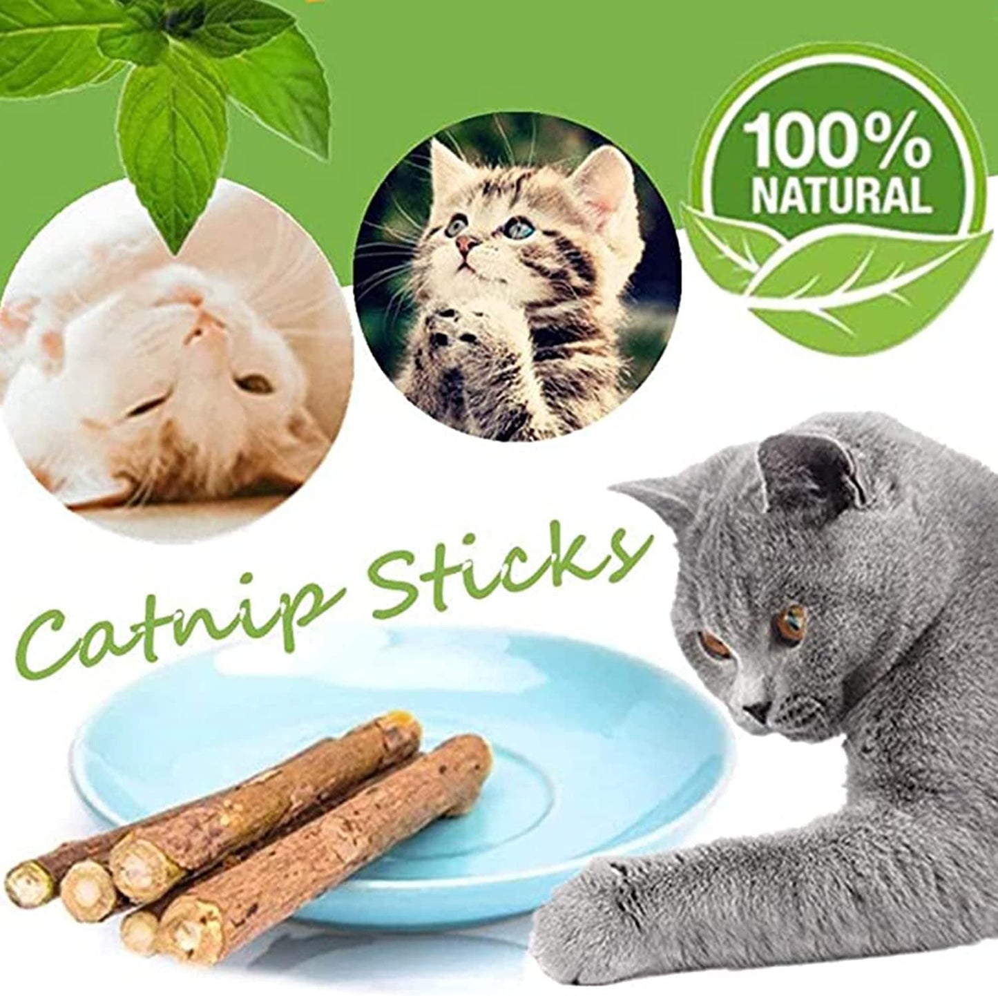 10 PCS Catnip Sticks Organic Cat Chew Toys Natural Plant Matatabi Silvervine Chew Sticks Cat Teeth Cleaning Chew Toy Cat Kitten Kitty 1