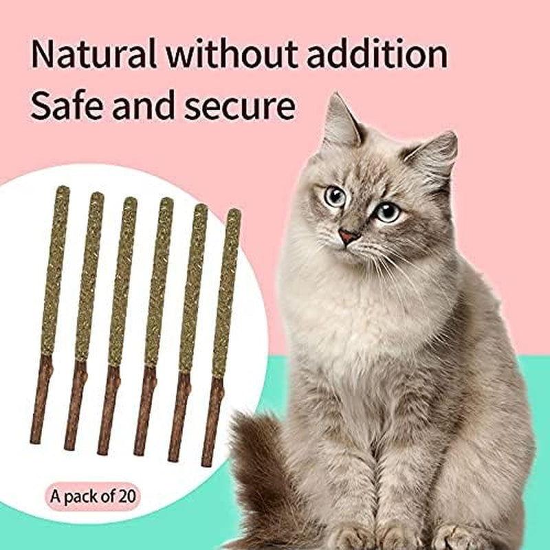 20Pack Silvervine Cat Toy，Silvervine Sticks for Cats，Catnip Silvervine Chew Sticks，Catnip Cat Toy，Sticks Teeth Molar Chew Toys，Indoor Cat Toys (20Pcs-)