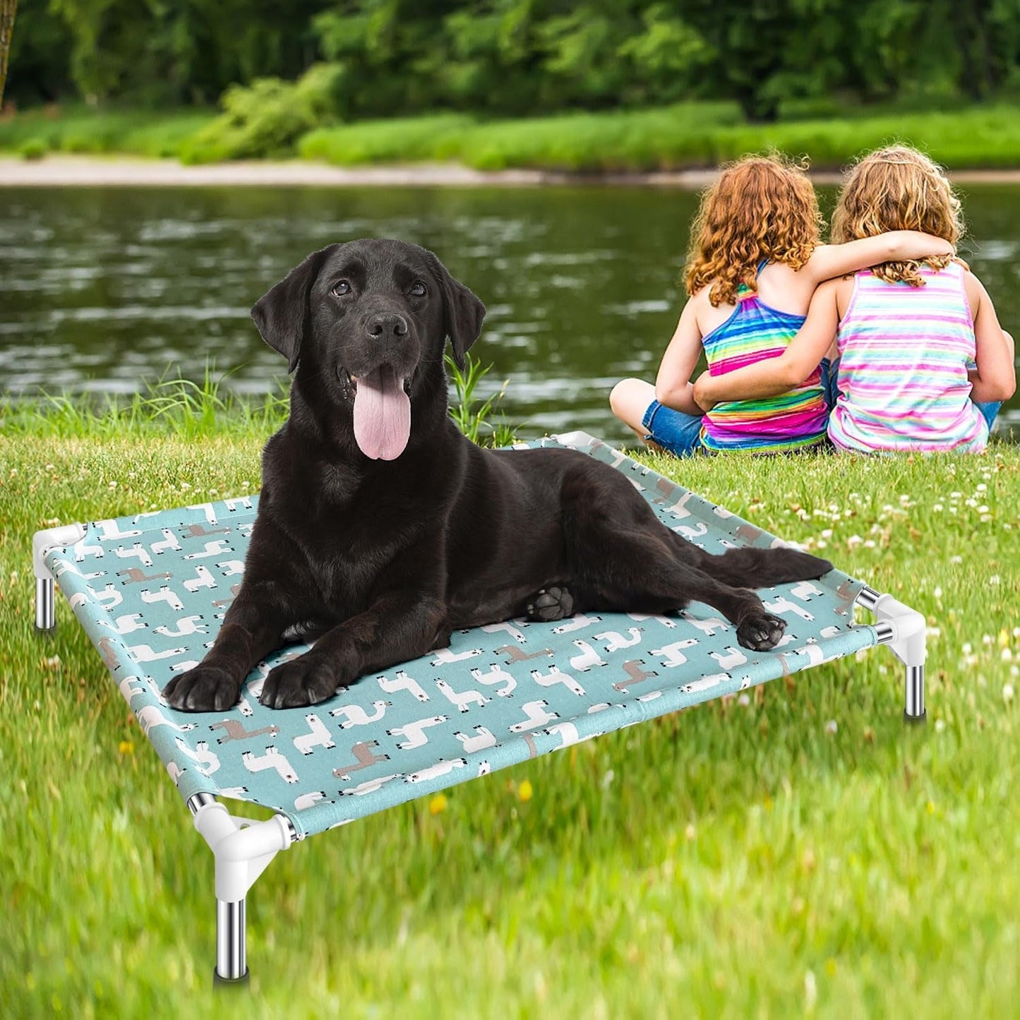 Elevated Dog Bed Pet Cot - Pet Bed for Medium Dogs | Elevated Pet Bed for Indoor and Outdoor Use for Medium Pets