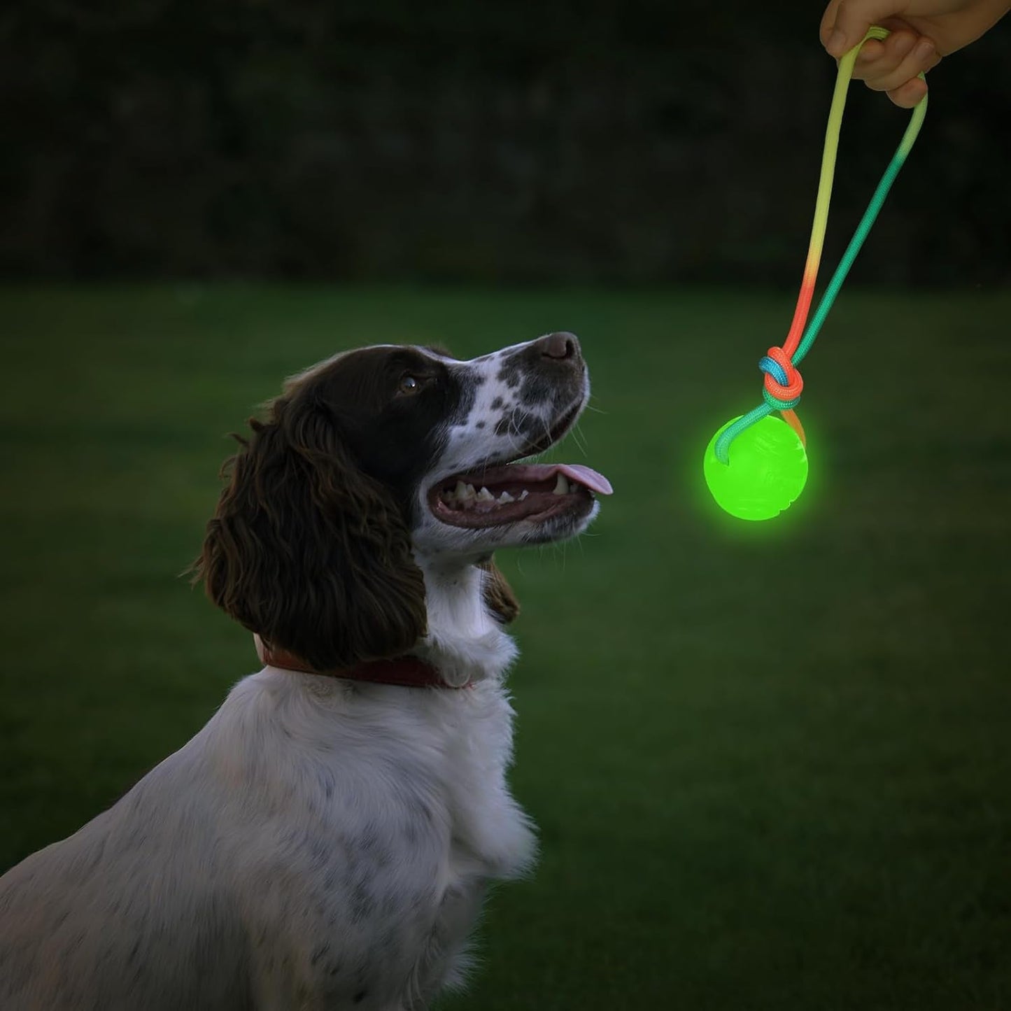 2 Pcs Dog Training Ball on Rope Glow in the Dark Dog Ball 2.36 Inch Dog Rope Toys with 12 Inch Rope for Small Large Medium Dogs Glowing Interactive Dog Pull Reward Fetch Exercise Ball Toy