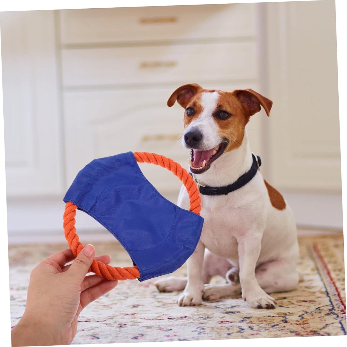 3Pcs Pet Puppy Toy Outdoor Playset Chew Toy Small Dog Toy Toys Trains Throwing Toy for Puppy Dog Train Plate Pet Dog Train Plaything Canvas Cotton Rope Dog Bite