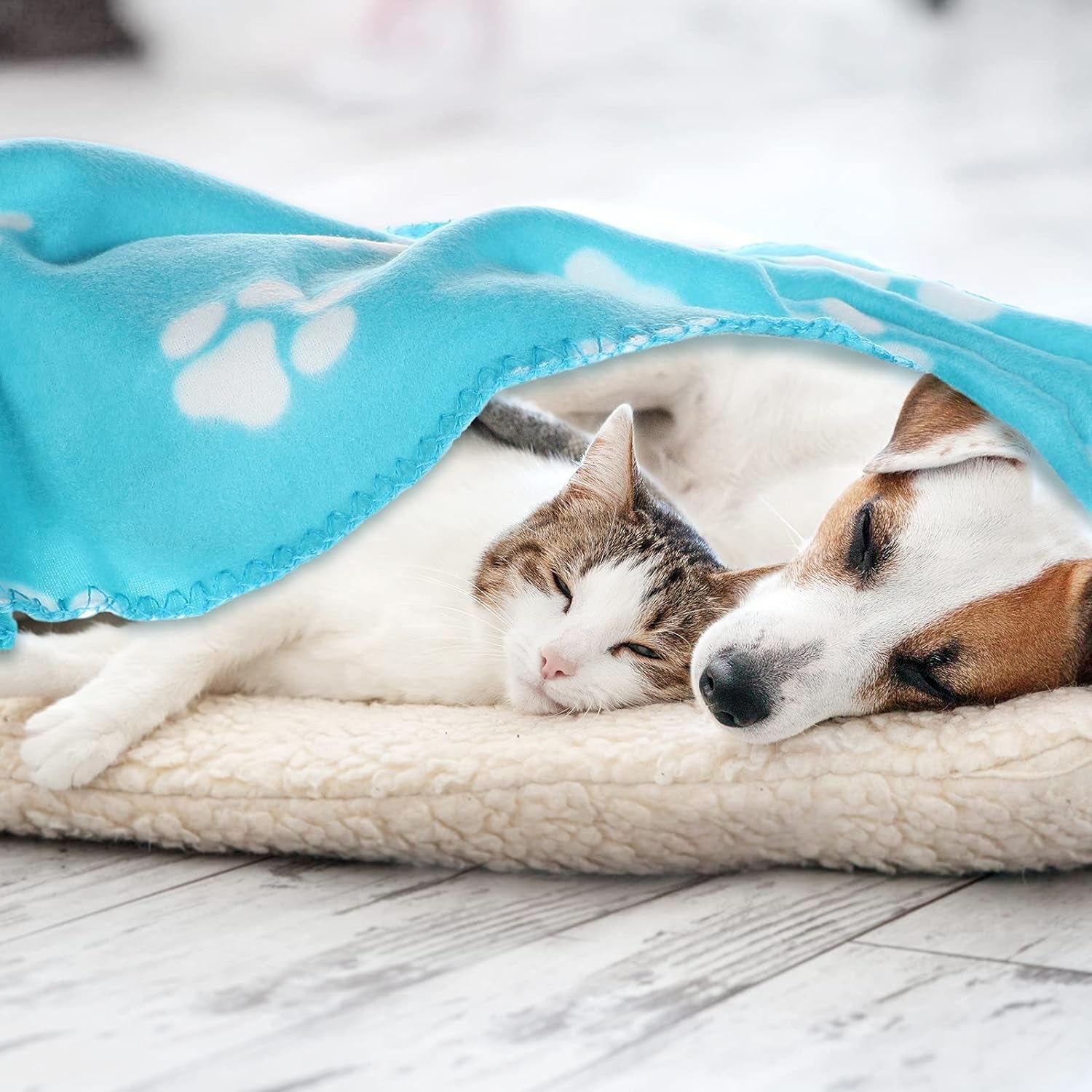 15 Pieces Puppy Kitten Blanket Cute Dog Cat Bed Blanket Pet Sleep Mat Pad Bed Cover Soft Printed Dog Sleep Blanket for Dog Cat Kitten Puppy Small Animals, 15 Colors (Paw Print Patterns)