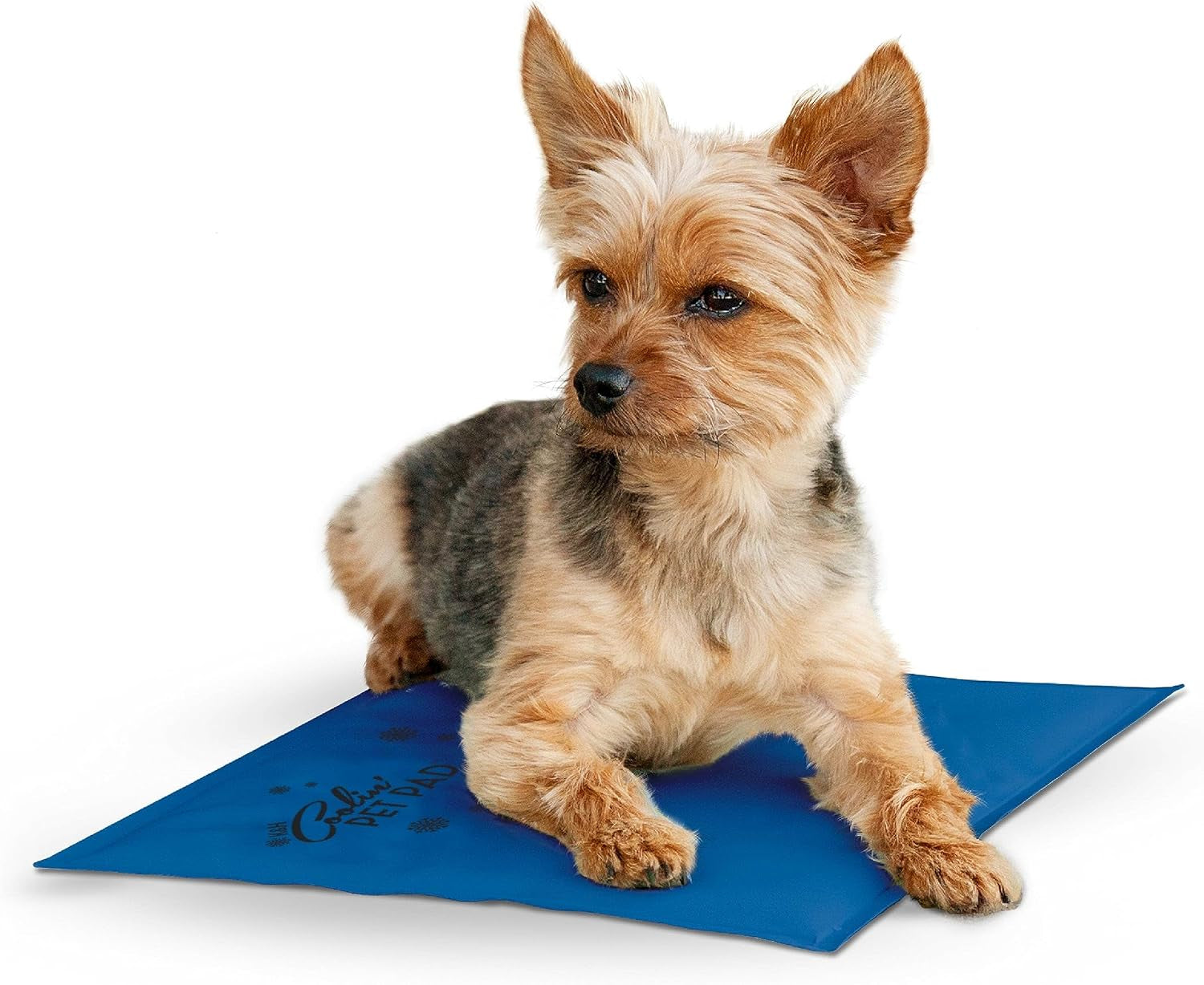 K&H Pet Products Dog Cooling Mat, Outdoor Pet Bed Cooling Pad for Dog Travel Carriers, Easy Carry Non-Toxic No Gel Cooling Dog Bed for Summer, for Cats, Rabbits and More - Blue Medium 20" X 15"