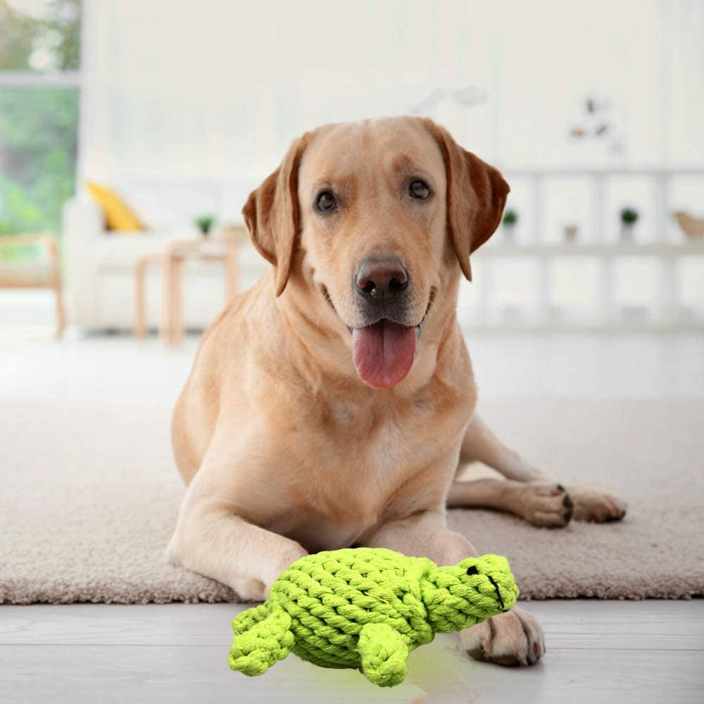 ZOUTOG Puppy Chew Toys, Set of 8 Dog Rope Toys for Aggressive Chewers, Dog Toys with Safe Material for Small/Medium/Large Dog Pets, for Playtime and Teeth Cleaning