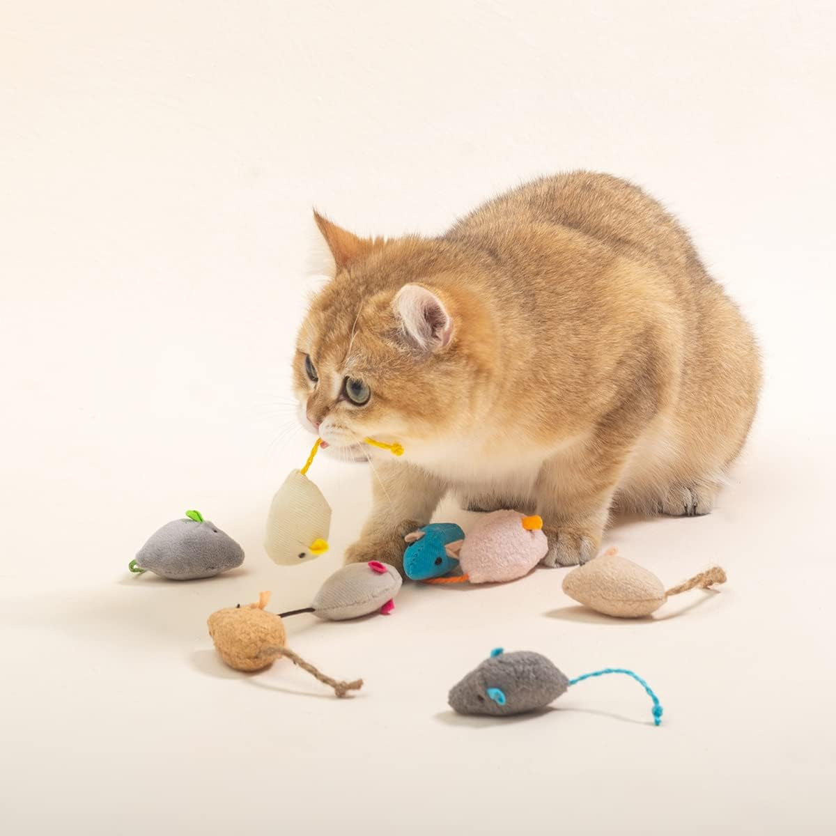 10Pcs Mice Cat Toys Set,Mouse Catnip(4Pcs) Cat Toy,Plush Mouse(4Pcs) Cat Toy and Moving Mouse(2Pcs) Cat Toy,Bite,Hunt, Interaction Toys