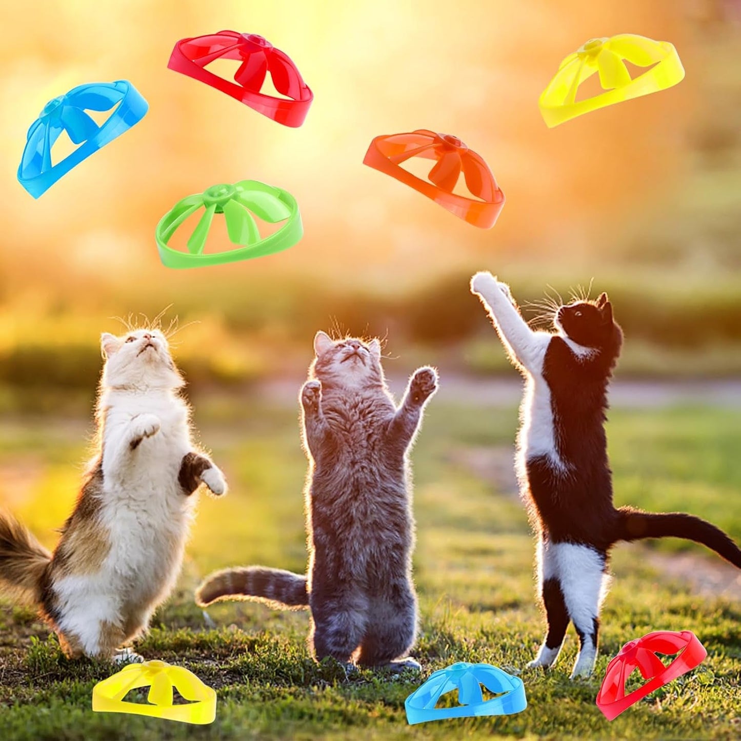 17Pcs Cat Fetch Toy,Cat Palying Tracking Interactive Toys with Flying Propellers for Cat Kitten Indoor and Outdoor Chasing Training Hunting Chasing Supply