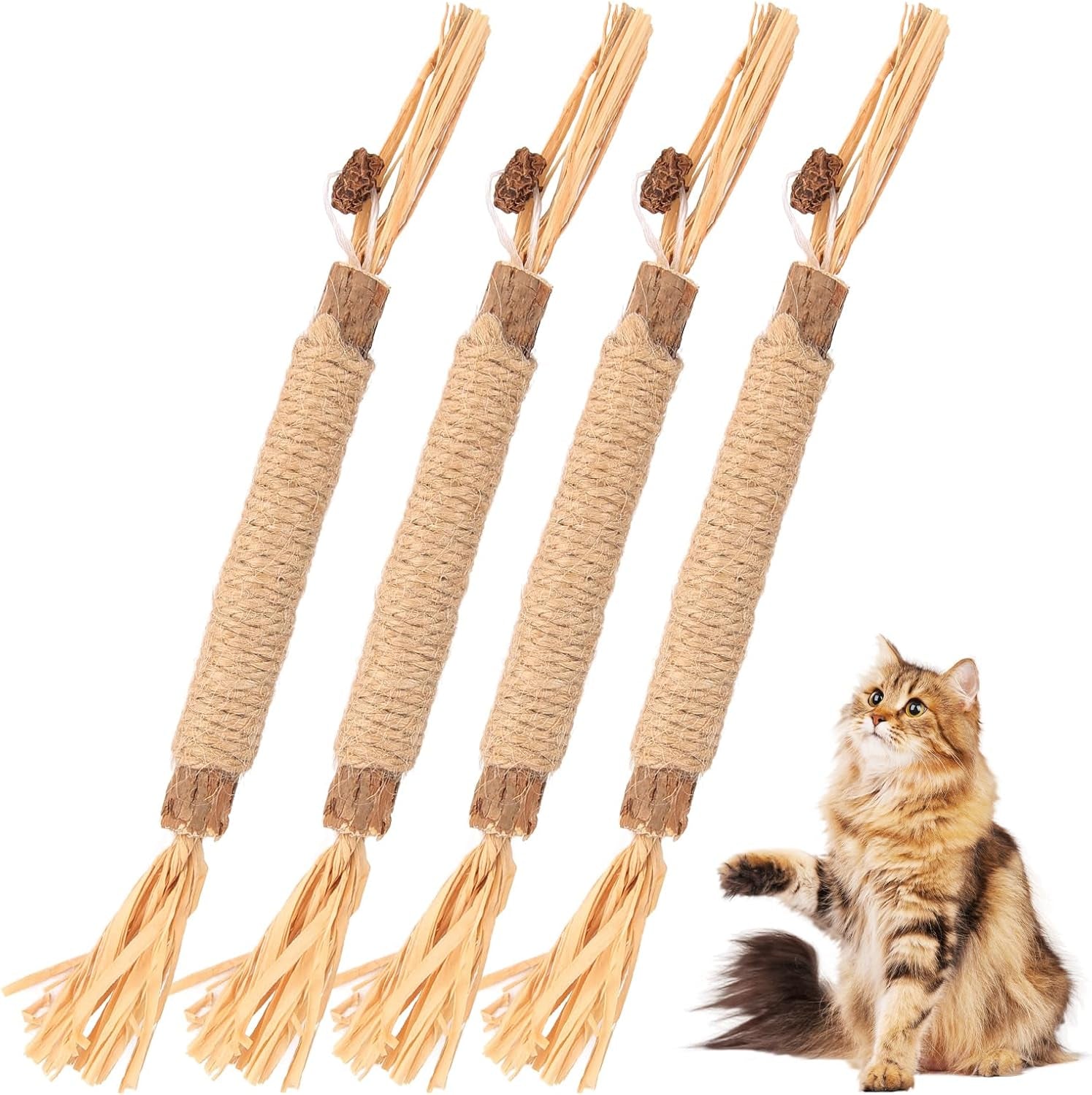 4 Pcs Natural Silvervine Sticks for Cats Dental Toy for Kitten Teeth Cleaning Catnip Chew Toys Silvervine Sticks Cat Toys for Indoor Cats