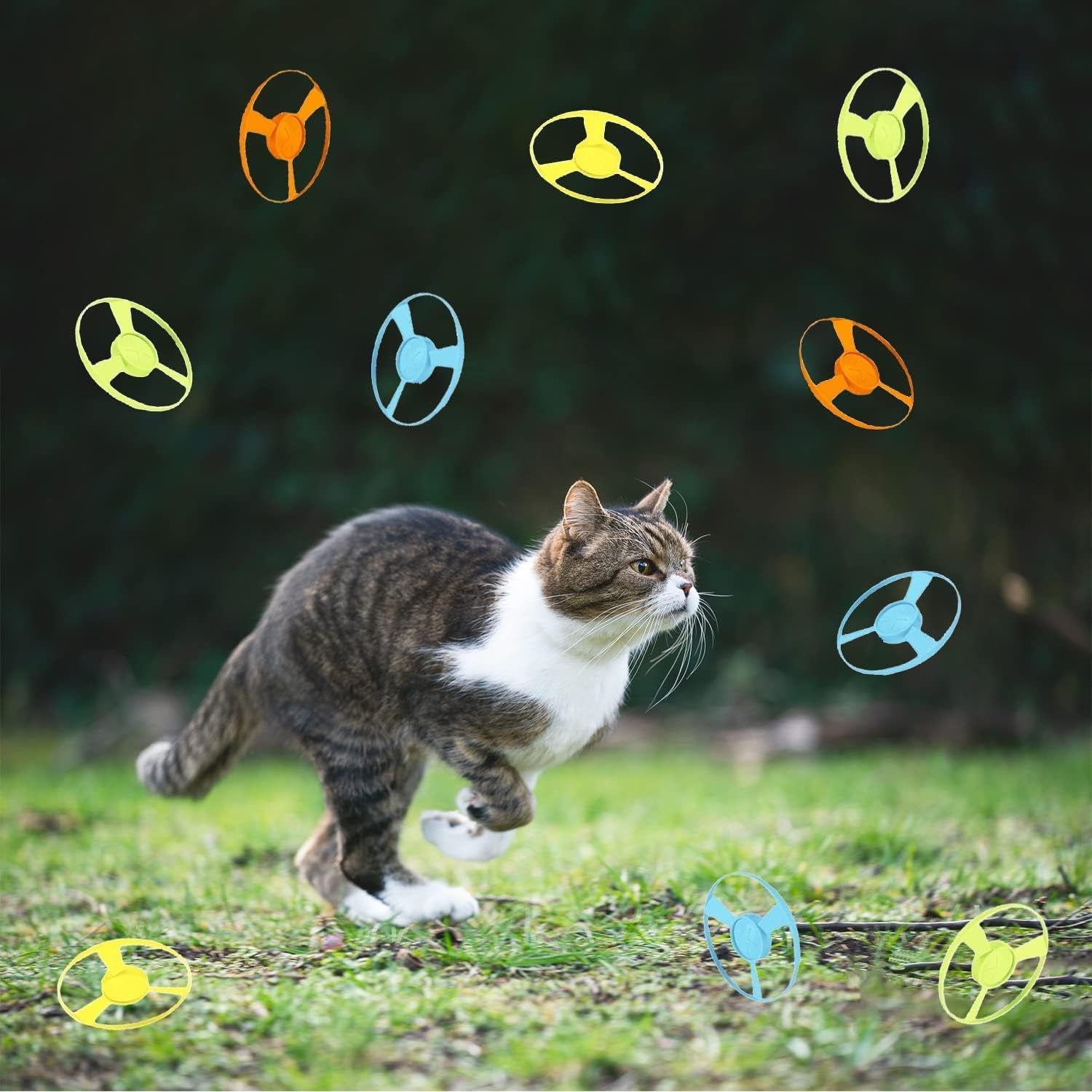 10 Pieces Cat Fetch Toy with Colorful Flying Propellers Set, Cat Playing Interactive Cat Toys for Cat Kitten Chasing Exercise