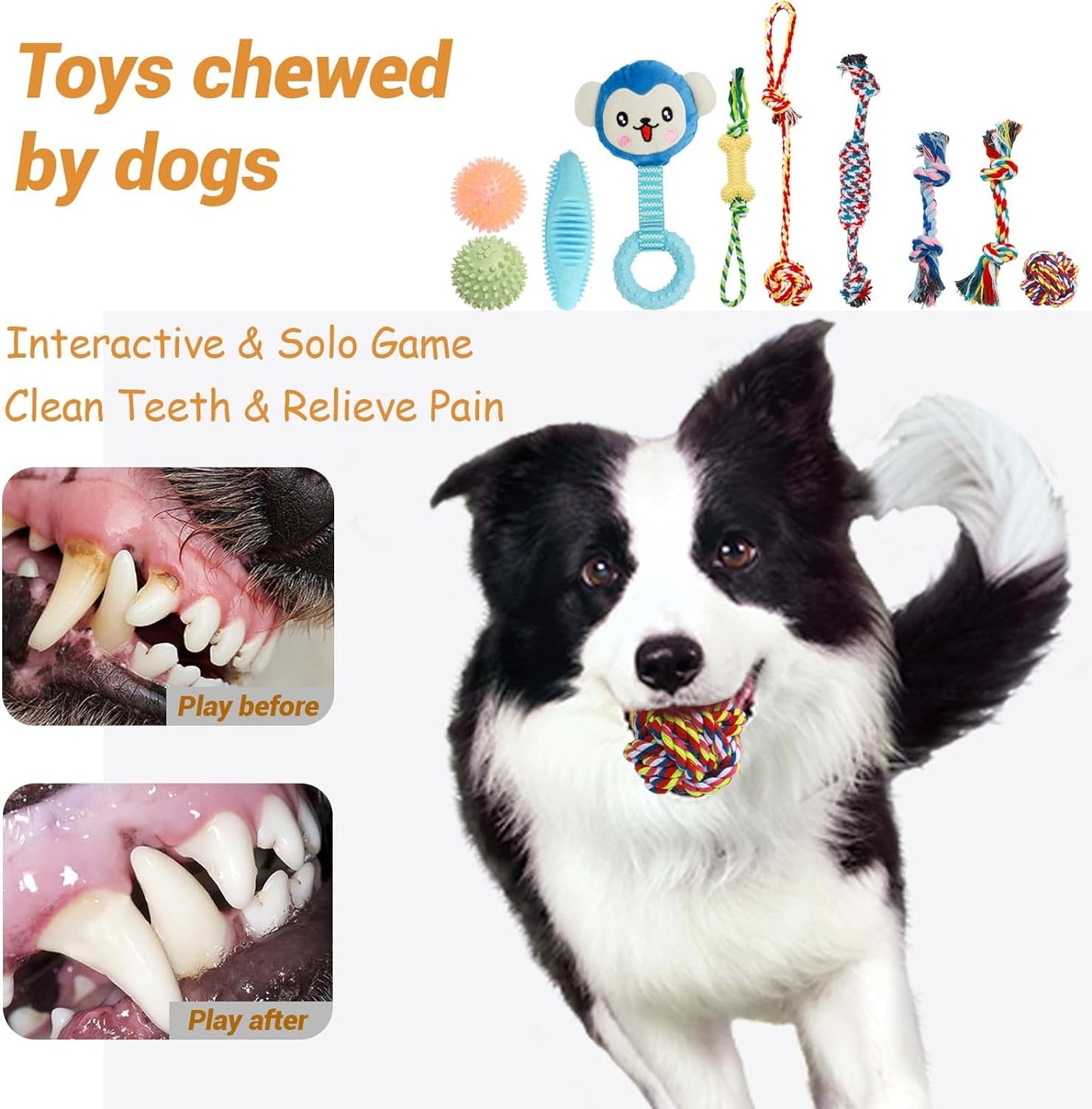 20PCS Puppy Teething Toys, Dog Squeaky Toys, Rope Toys, Interactive Dog Toys to Keep Them Busy, Chew Toys for Puppies, Pet Toys for Small Dogs, Dog Toy Basket Full of Fun