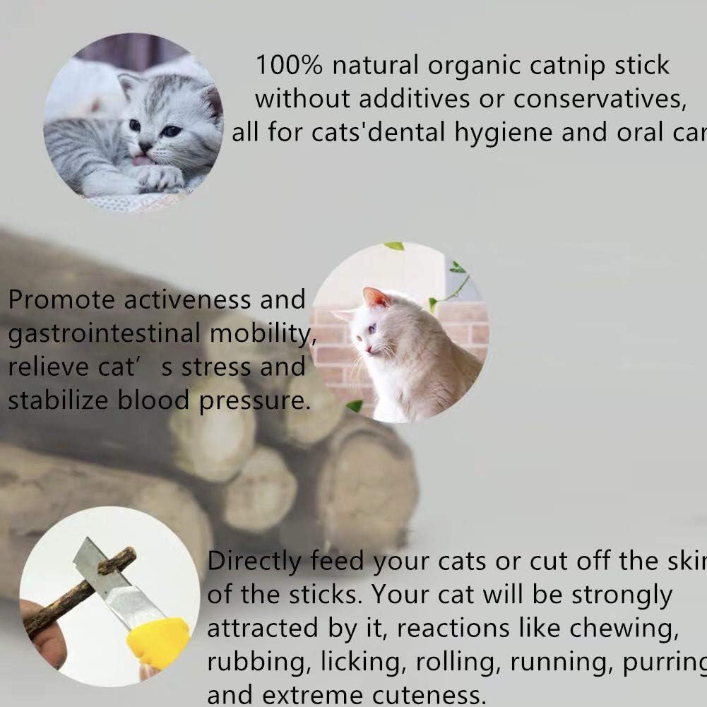 20PCS Cat Catmint Sticks Natural Matatabi Silvervine Sticks, Kittens Chew Stick Toys Teeth Molar Tools Dental Cleaning, 100% Organic Silver Vine Treats Molar Chew Toy for Cat Kitten