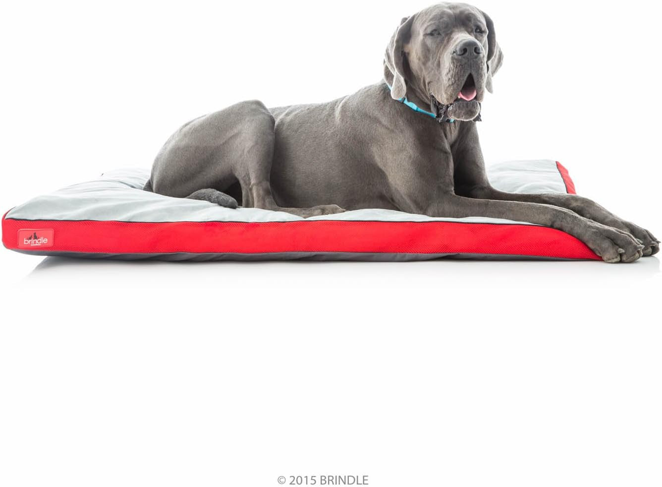 Brindle Shredded Memory Foam Dog Bed with Removable Washable Cover-Plush Orthopedic Pet Bed - 17 X 11 Inches - Red