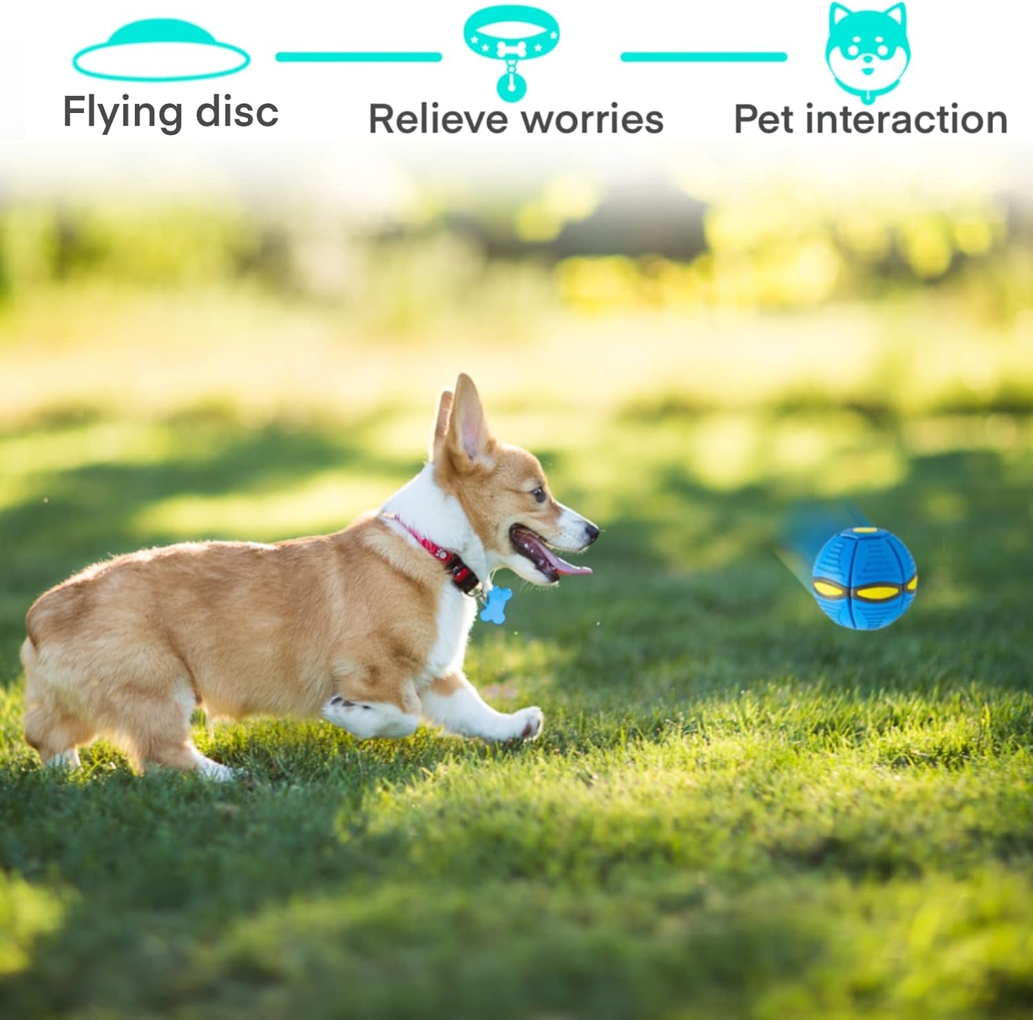 2024 New Doggy Disc Ball, Interactive Flying Saucer Ball Dog Toys, Pop up Ball for Dogs, Variable Form Pet Toys (Blue)