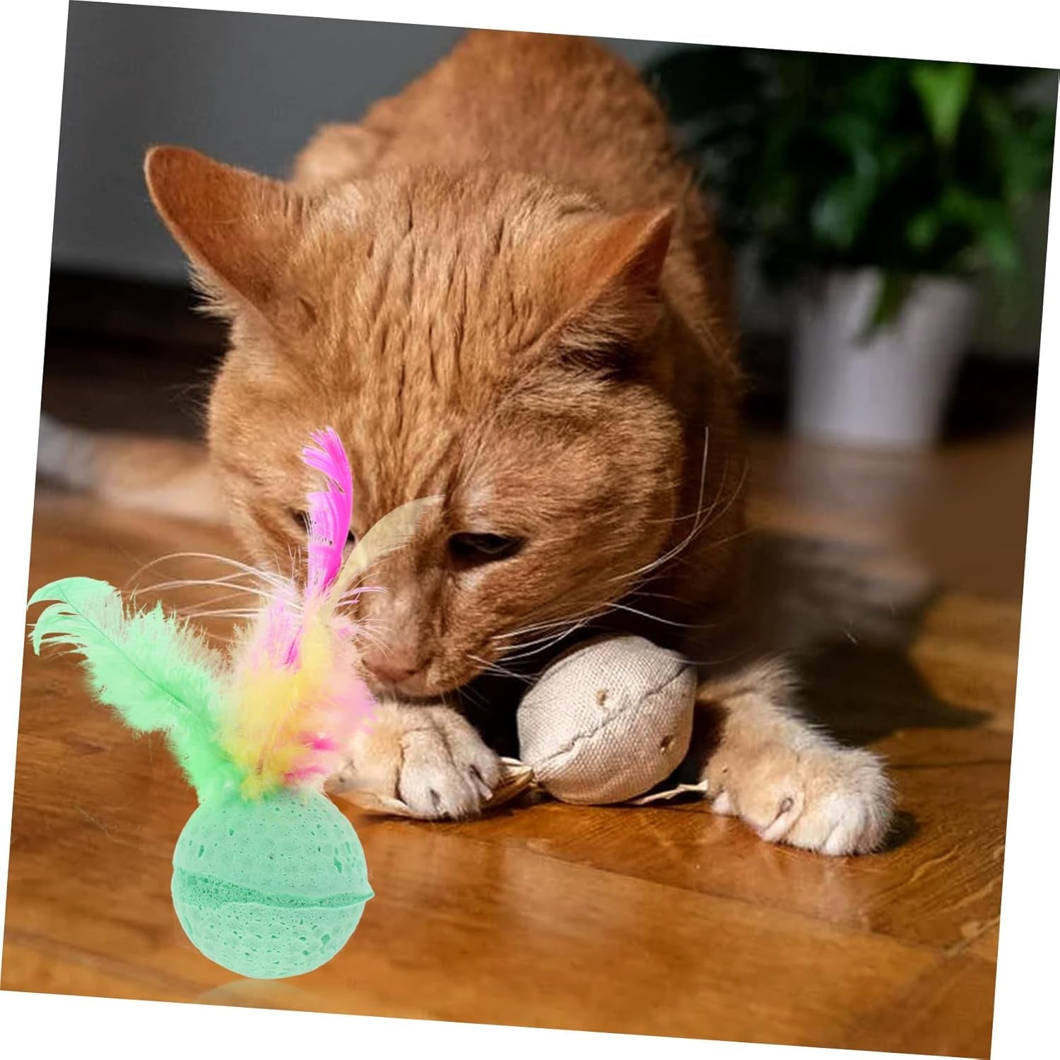 3 PCS Creative Cute Pet Toys Sponge Balls Kitty Kitten Toys Cat Catcher Toys with Feather Tails