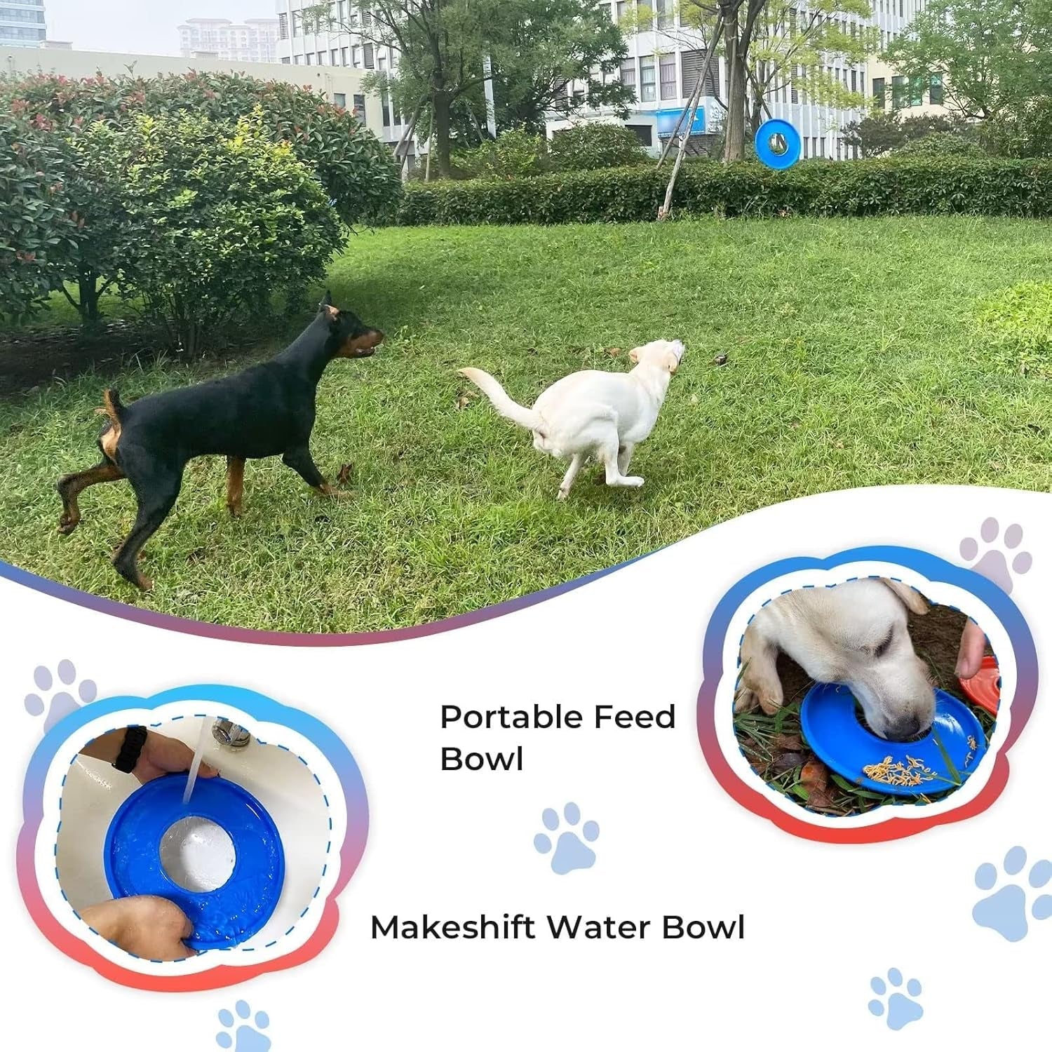 2 Packs Dog Toy Flying Disc, Pet Training Rubber Flying Toy Golf Saucer Fetch, Floating Water Dog Toy 2Pcs for Small, Medium, or Large Dogs Outdoor Flight, BLUE & RED