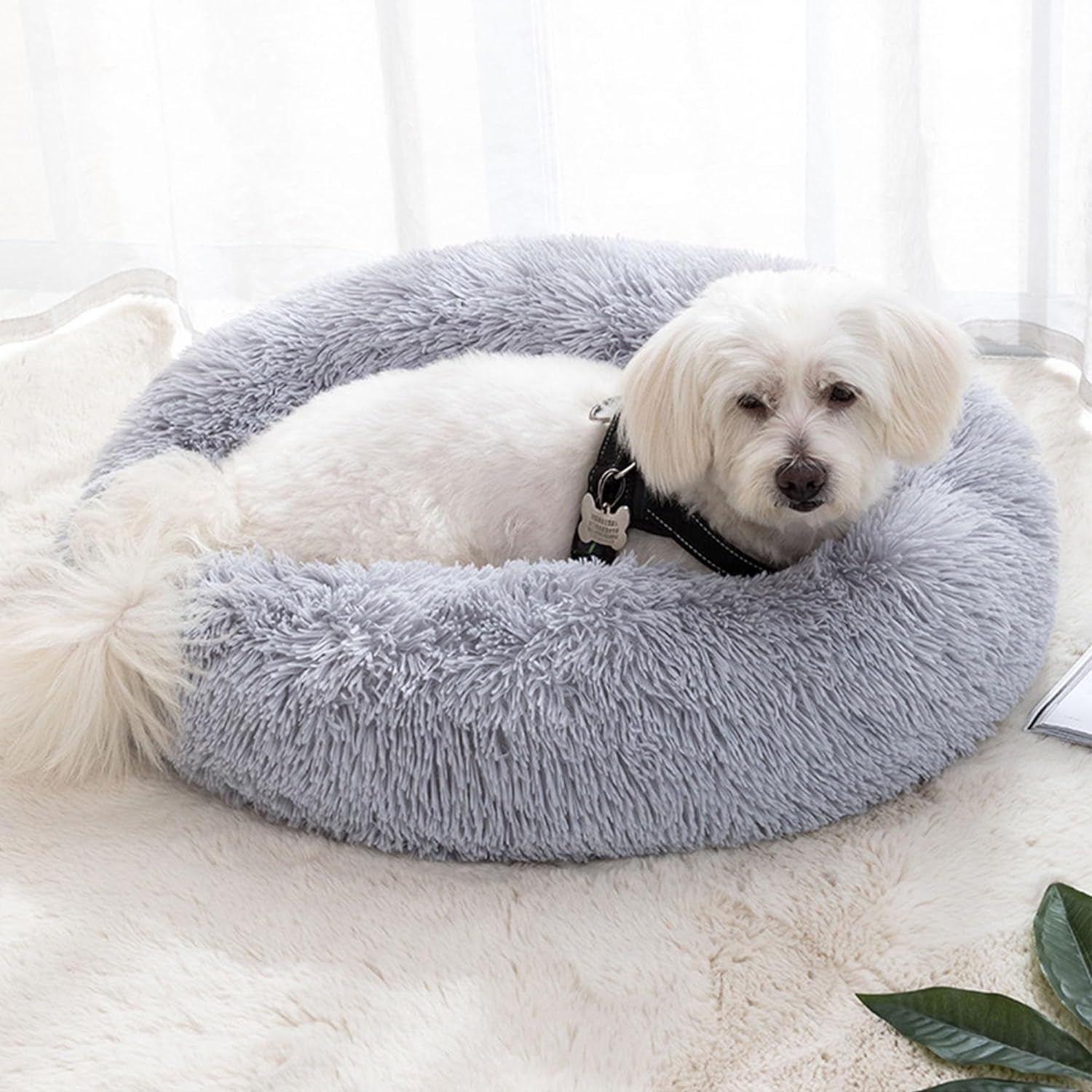 Cat Beds for Indoor Cats, 20 Inches Cat Bed Fluffy round Dog Bed Calming Soft Plush Donut Cat Bed Anti-Slippuppy Pet Bed Cat Beds for Small Medium Dogs Kittens (Grey)