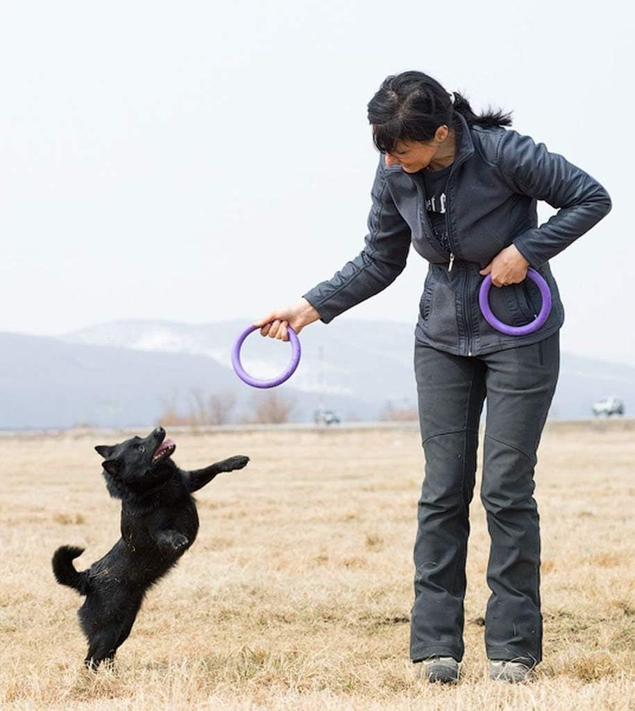 2 Puller Mini Interactive Dog Toy 7.5" Rings, Purple, for Small Breed Dogs