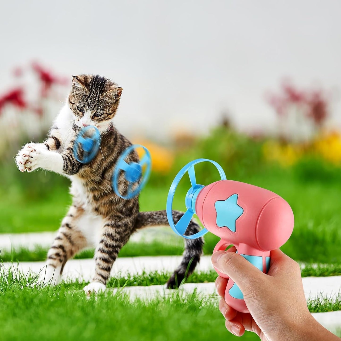 3 Sets Funny Cat Pet Outdoor Dog Disk Shooter Abs Colorful Outdoor Flying Disc Interactive Kids Cat Interactive Pet Cat Set to Rotate