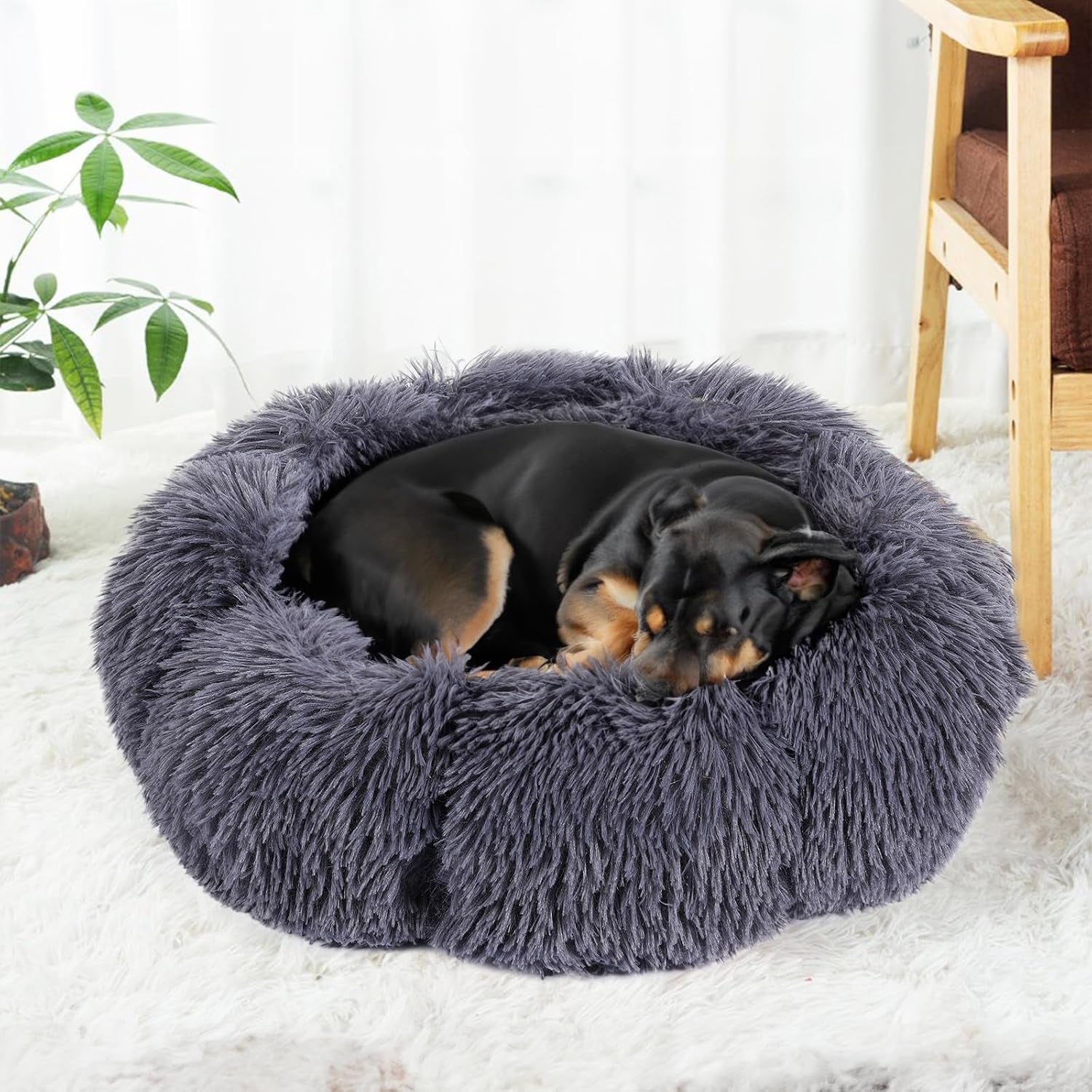 20 Inch Small Dog Bed Cute round Dog Cat Bed, Washable Puppy Kitten Cuddler Beds Dog Donut Bed Plush Calming Pet Bed with Anti-Slip Bottom for Small Pets, Dark Gray