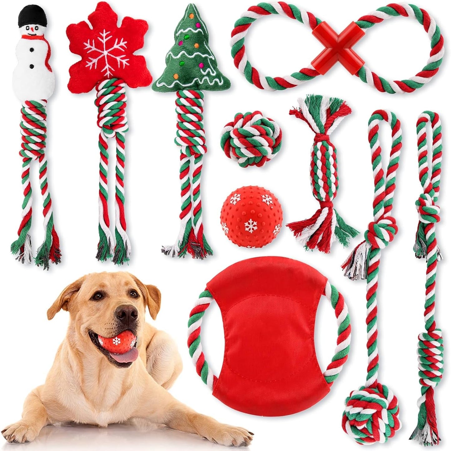 10 Pack Christmas Dog Toys Set, Xmas Gifts Pets Toys for Puppy, Dog Chew Toys with Rope Ball Toys, Interactive Dog Toys and Squeaky Toy for Small Medium Dog