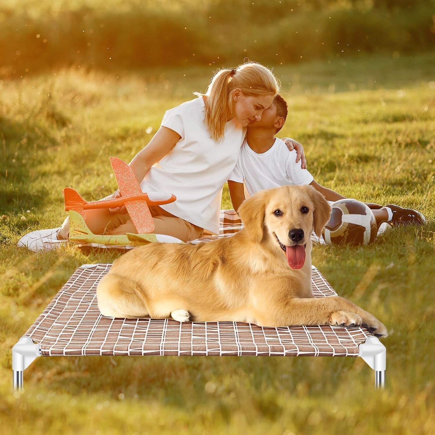 Elevated Dog Bed - Raised Dog Bed, Medium Size, Portable Indoor & Outdoor Dog Cot Bed, Soft and Comfortable Medium Dog Bed, Pet Bed for Camping or Beach