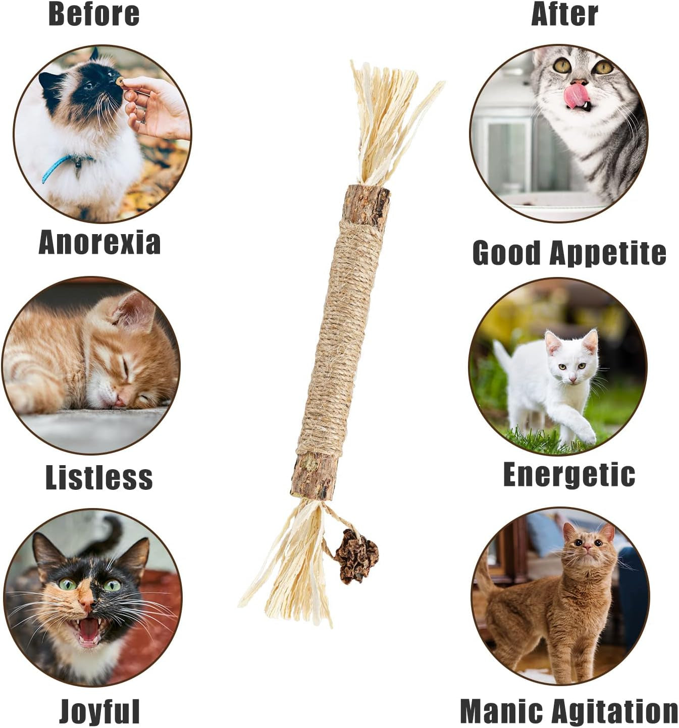 3Pcs Natural Silvervine Sticks, Silvervine Cat Toys Catnip Chew Sticks for Cats Kitten Teething Toys Cat Teeth Cleaning Toy