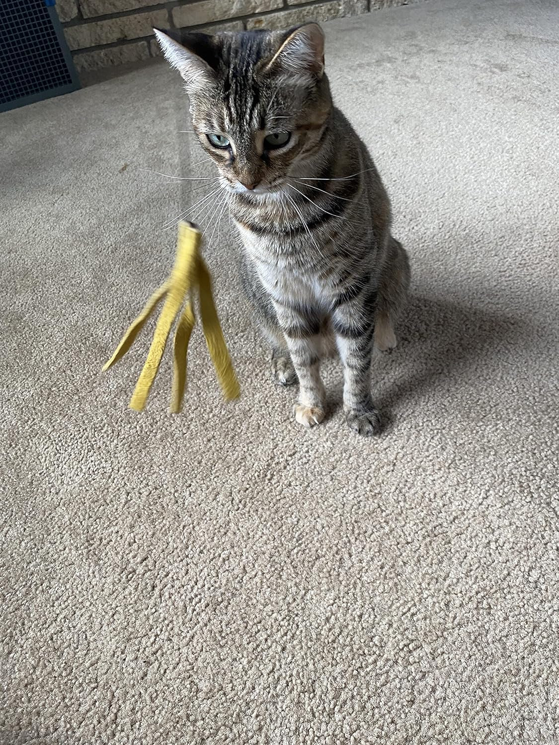 Kitty Kraken | Suede Brown Leather | Natural Birch Wood Rod | Great Teaser and Exerciser for Smaller Cats and Kitten | Interactive Soft | Handcrafted in the USA | 1-Pack