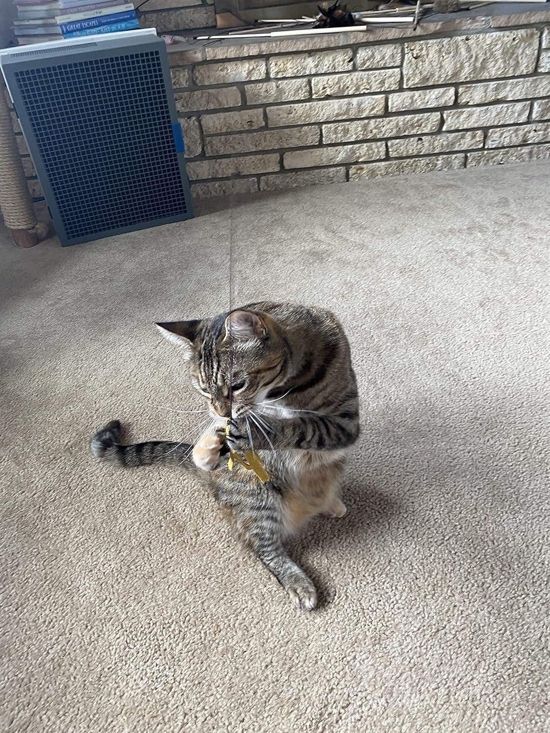 Kitty Kraken | Suede Brown Leather | Natural Birch Wood Rod | Great Teaser and Exerciser for Smaller Cats and Kitten | Interactive Soft | Handcrafted in the USA | 1-Pack