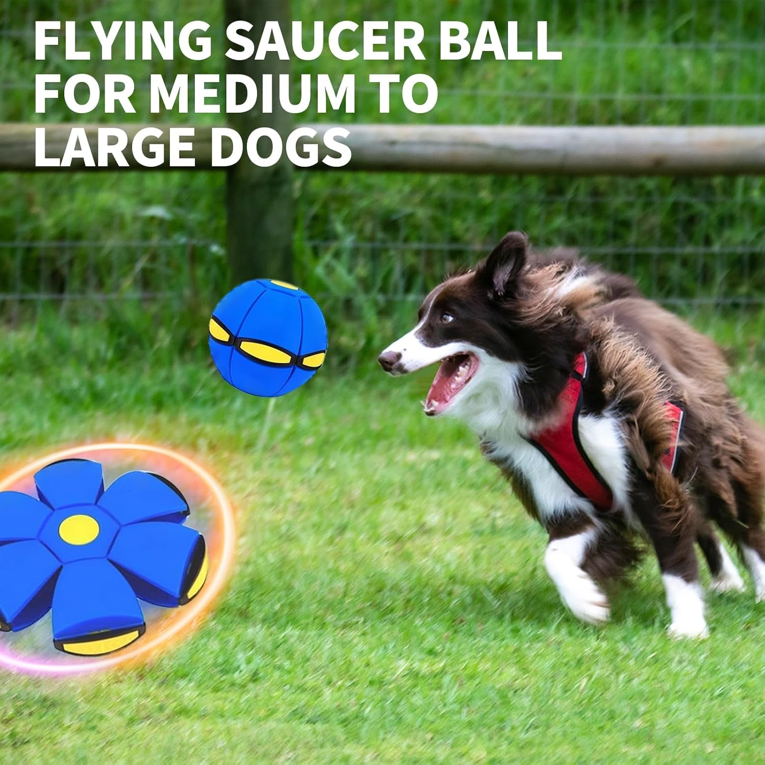 2PCS Dog Flying Disc Toy, Pet Toy Flying Saucer Ball with 3 Light for Dogs, Flying Saucer Ball Dog Toy Outdoor Toy Doggy Disc Ball, Outdoor Games