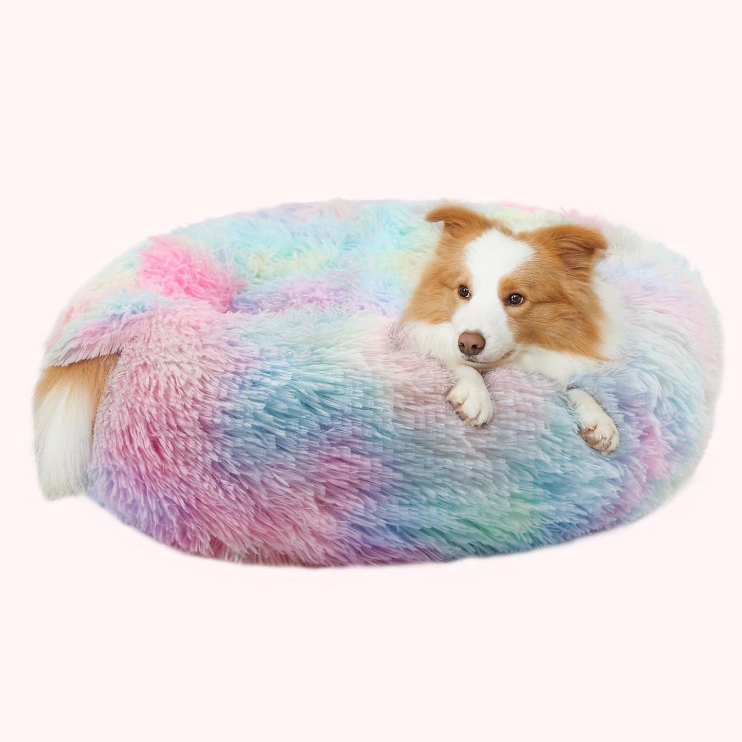 Dog Beds for Small Medium Dogs, Donut Dog Bed with Blanket Attached, Calming Dog Bed Washable (20"/26"/35")…