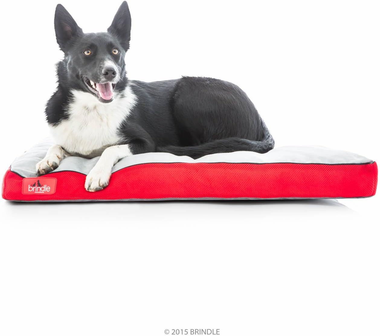 Brindle Shredded Memory Foam Dog Bed with Removable Washable Cover-Plush Orthopedic Pet Bed - 17 X 11 Inches - Red