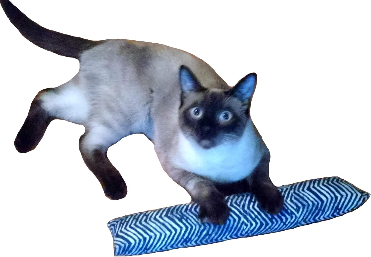 15" Catnip Cat Kicker Toy with Refillable Catnip Pocket (Blue) (Kicker Filled with 1 Oz Premium Canadian Catnip)