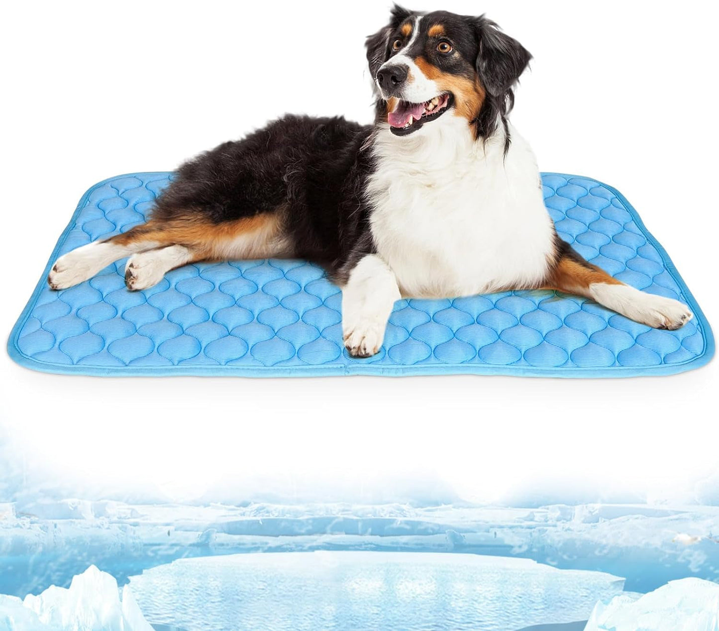 Dog Cooling Mat for Dogs Non-Toxic Self Cooling Pad & Easy Clean in Hot Summer Large 39X27In