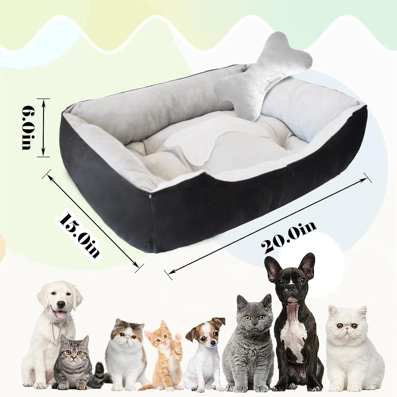 Dog Beds for Small Dogs,Rectangle Cat Beds for Indoor Cats,20"X15"X6" Washable Pet Bed with Side and Anti-Slip Bottom for Medium Dog,Kitten(Black)