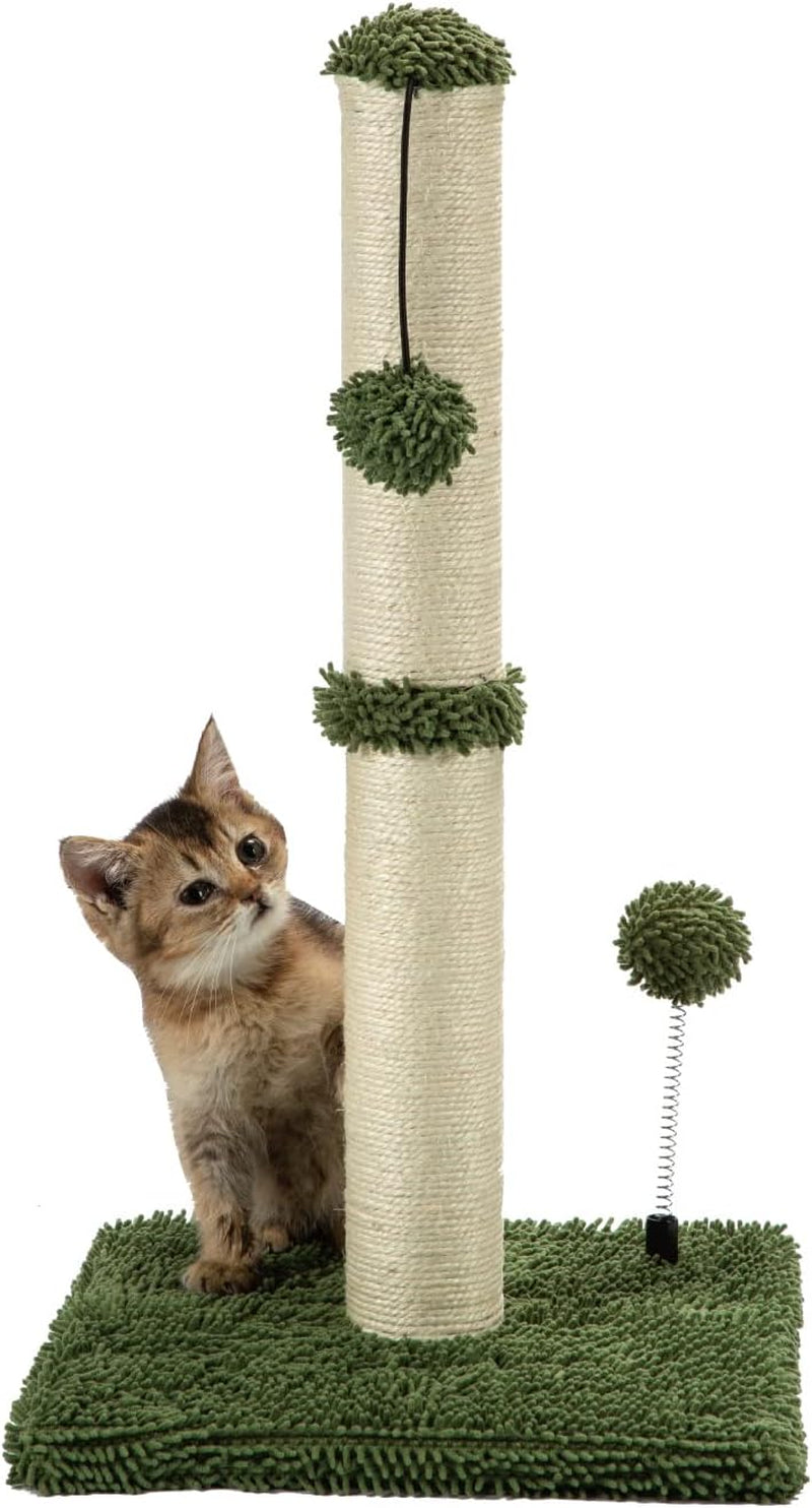 34“ Tall Cat Scratching Post Premium Basics Kitten Scratcher Sisal Scratch Posts Trees with Hanging Ball for Indoor Cats (34 Inches for Adult Cats, Cactus Green)