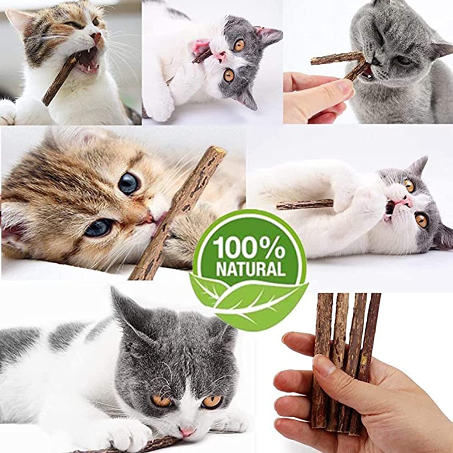 10 PCS Catnip Sticks Organic Cat Chew Toys Natural Plant Matatabi Silvervine Chew Sticks Cat Teeth Cleaning Chew Toy Cat Kitten Kitty 1