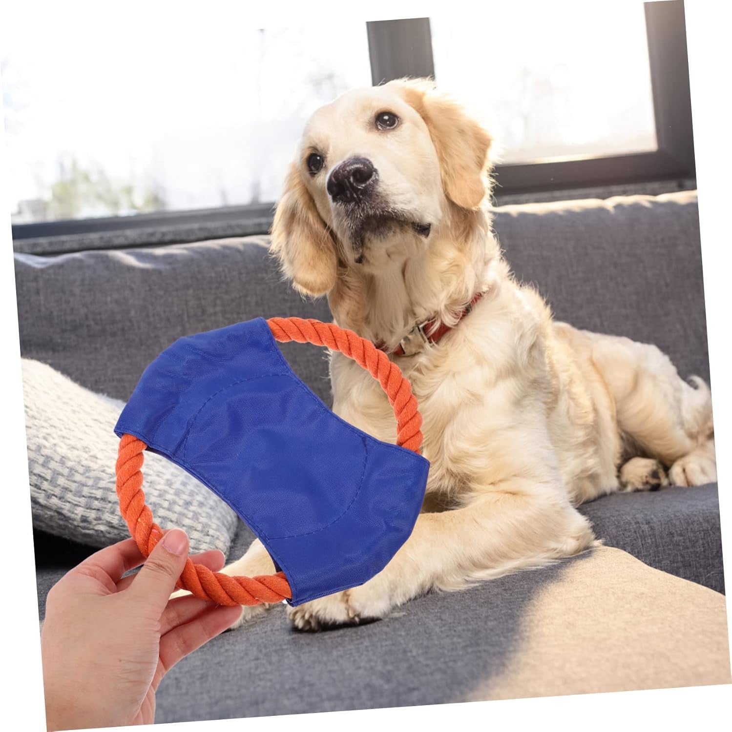 3Pcs Pet Puppy Toy Outdoor Playset Chew Toy Small Dog Toy Toys Trains Throwing Toy for Puppy Dog Train Plate Pet Dog Train Plaything Canvas Cotton Rope Dog Bite