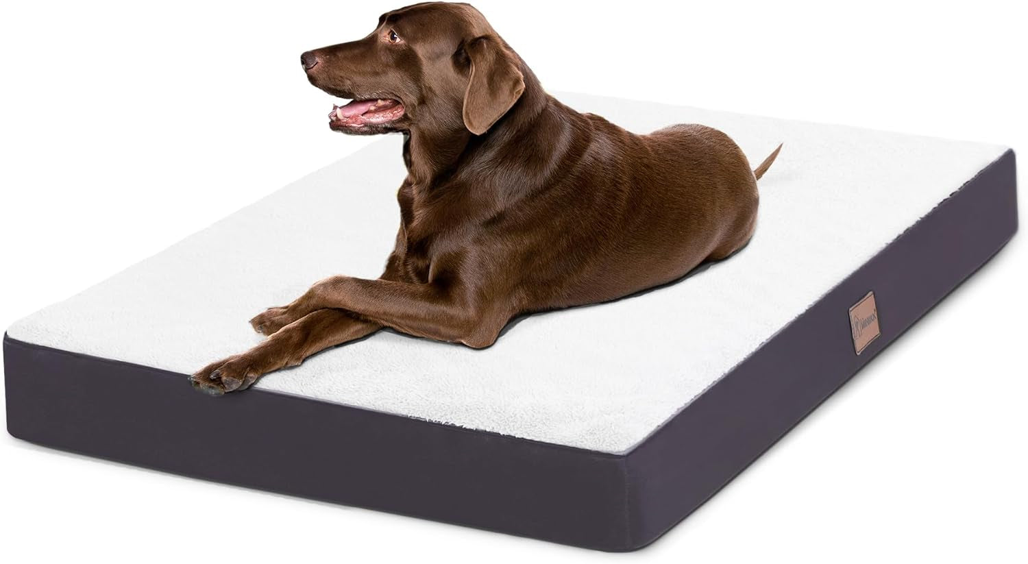 MIHIKK Waterproof Dog Bed Medium Size Dog with Machine Washable Cover Orthopedic Dog Bed with Anti-Slip Bottom, 35 X 22 Inch, Beige