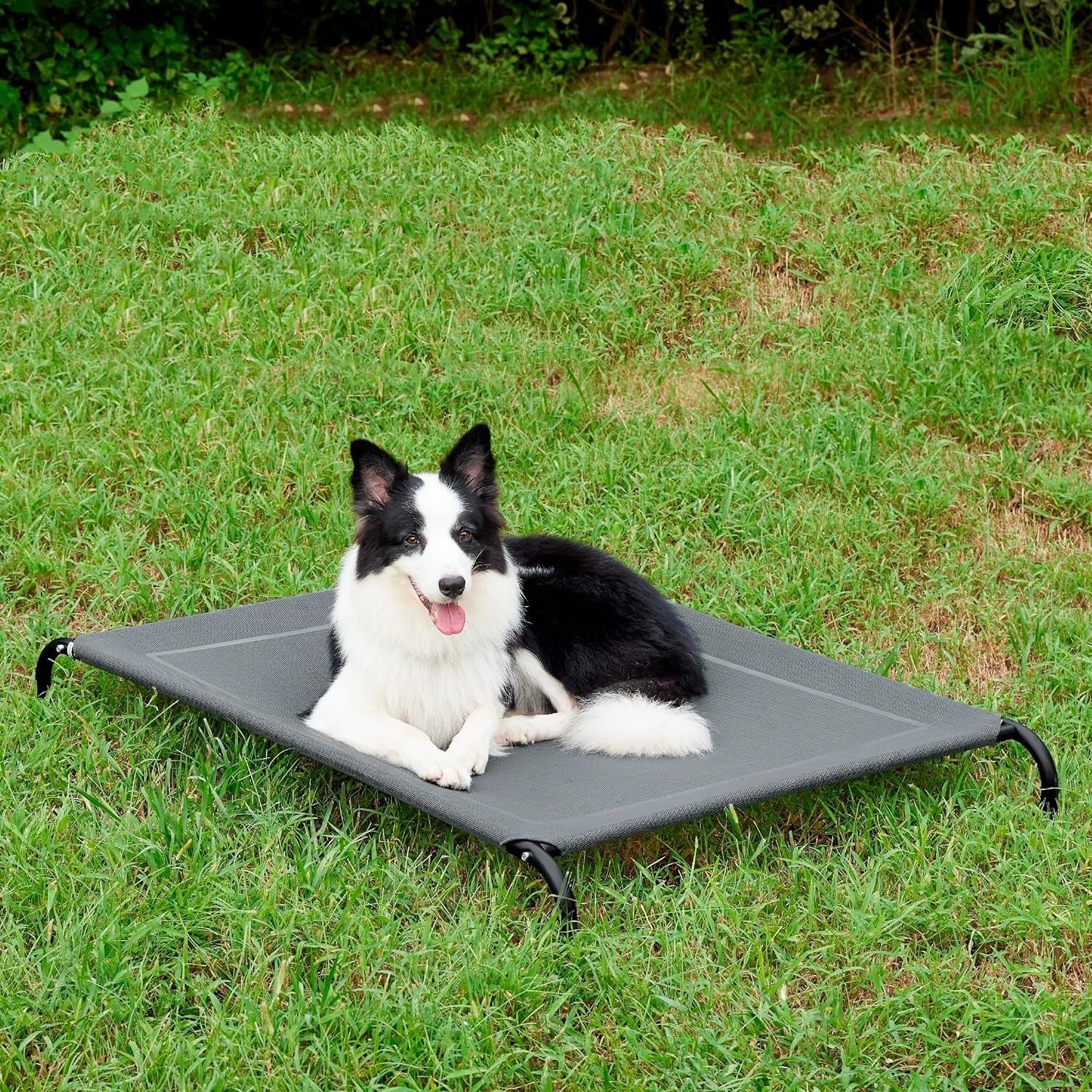 Elevated Dog Bed, Pet Bed, Medium Size with Measures 35.4X23.6 X 5.9In, Portable Bed with a Non-Slip Firm Structure, Easy to Assemble Black