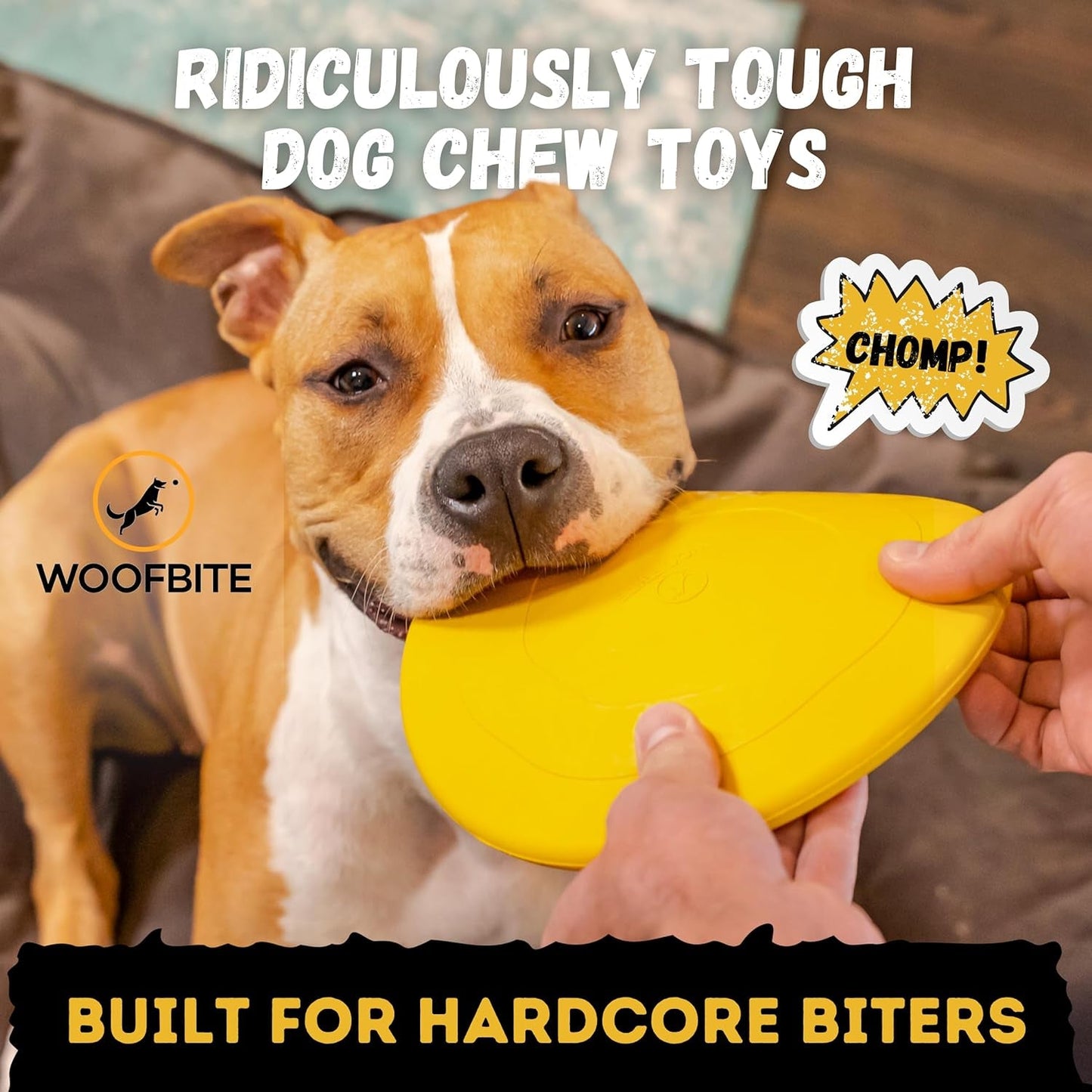 "Indestructible Dog Disc - Lifetime Replacement - Medium & Large Breed - Ultra Durable for Aggressive Chewers - Tough & Strong, Heavy Duty Natural Rubber Toy - Fetch, Tug, & Chew - 8In