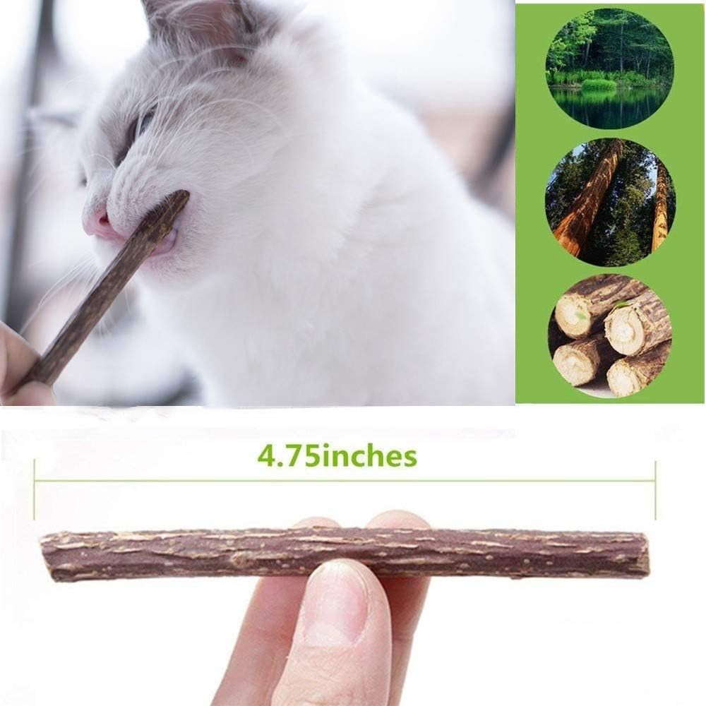 20PCS Cat Catmint Sticks Natural Matatabi Silvervine Sticks, Kittens Chew Stick Toys Teeth Molar Tools Dental Cleaning, 100% Organic Silver Vine Treats Molar Chew Toy for Cat Kitten