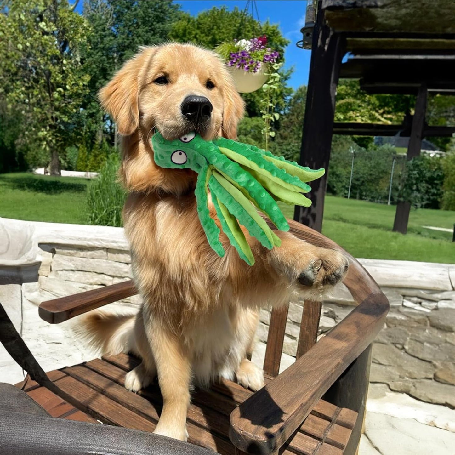 2 Pack Squeaky Dog Toys, Octopus Plush Dog Toys No Stuffing Crinkle Pet Toys for Small, Medium, Large Dogs Teething, Durable Aggressive Chewers (Green + Orange Octopus)