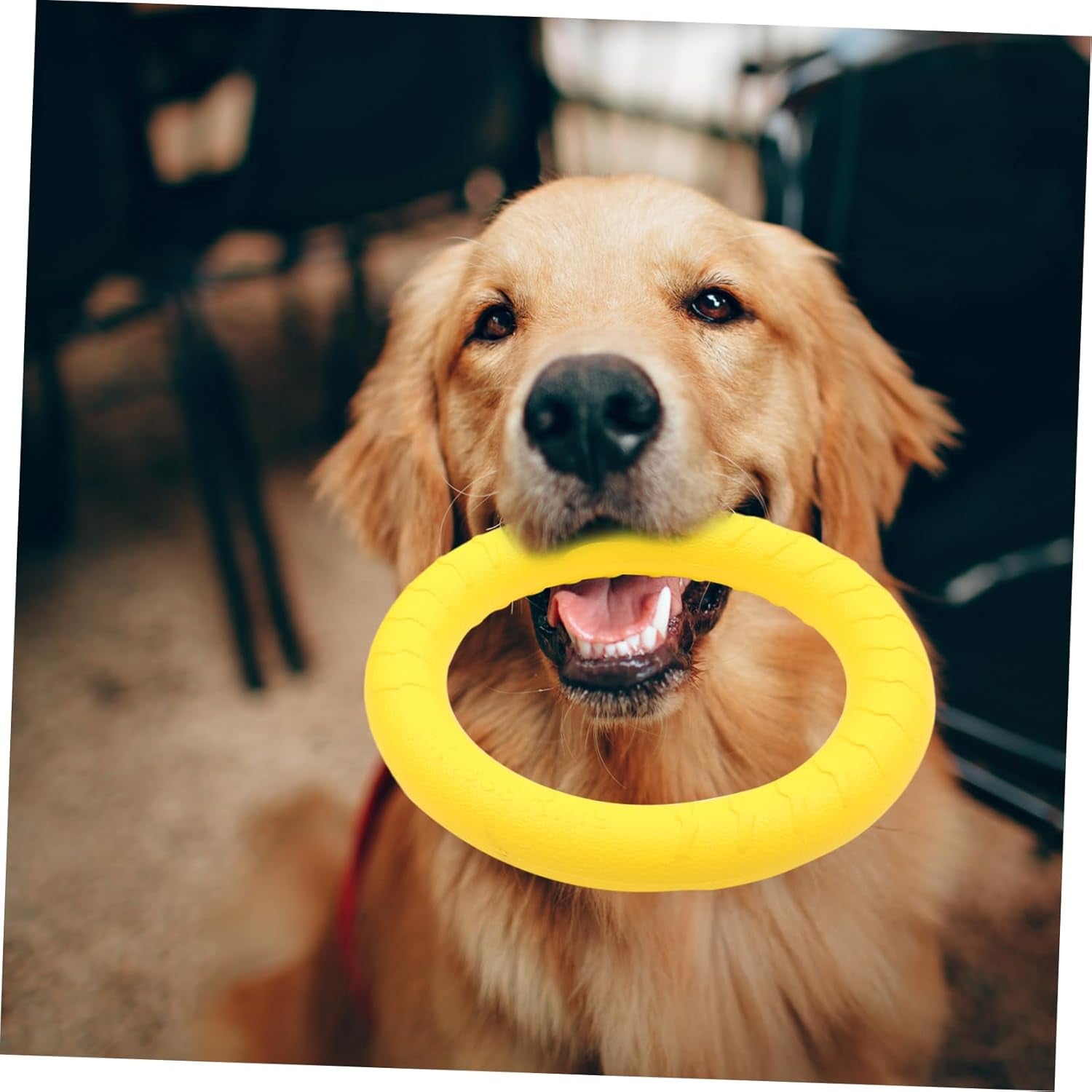 2Pcs Dog Bite Training outside Toys Dog Tooth Cleaning Toys Puppy Teething Toys Teeth Cleaning Dog Toy Puppy Flying Discs Outdoor Playset Dog Ring Toy Eva Tension Ring 28C Flexible