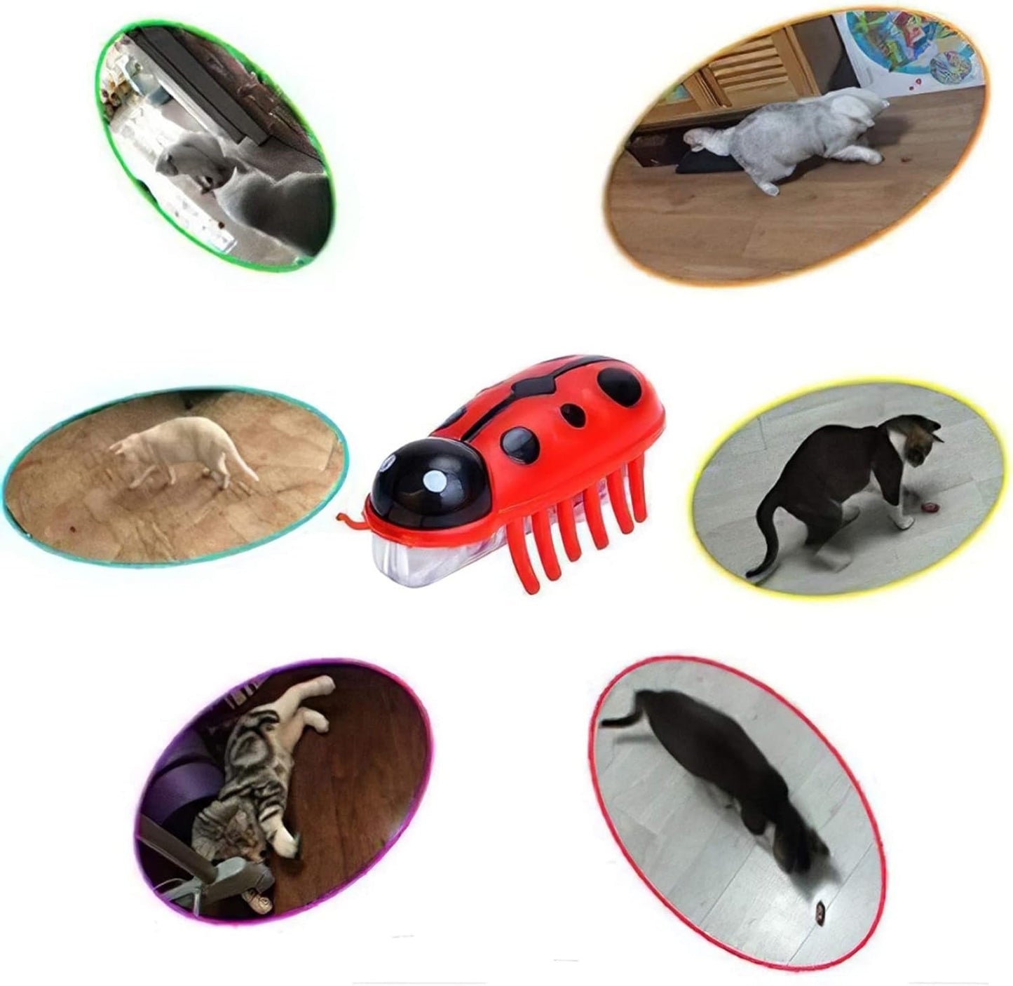 2Pcs Mini Electric Robot Beetle Interactive Cat Toy Excites & Entices Realistic Beetle Vibrating Toy for Indoor Cats Kitten Play Chase Exercise