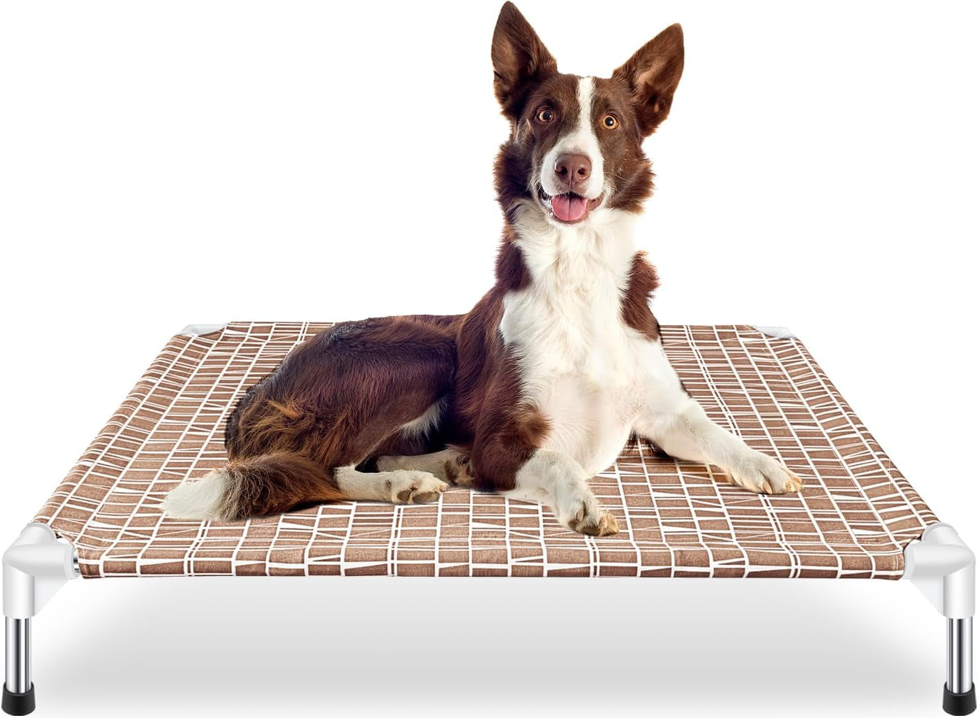 Elevated Dog Bed - Raised Dog Bed, Medium Size, Portable Indoor & Outdoor Dog Cot Bed, Soft and Comfortable Medium Dog Bed, Pet Bed for Camping or Beach