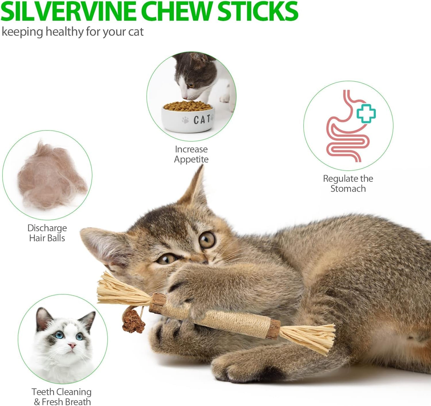 10 Park Silvervine Cat Toy, Silvervine Sticks for Cats, Cat Toy with Silvervine, Cat Chew Stick for Aggressive Chewers, Kitten Teething, and Dental Health - Silvervine Cat Toys for Hours of Fun