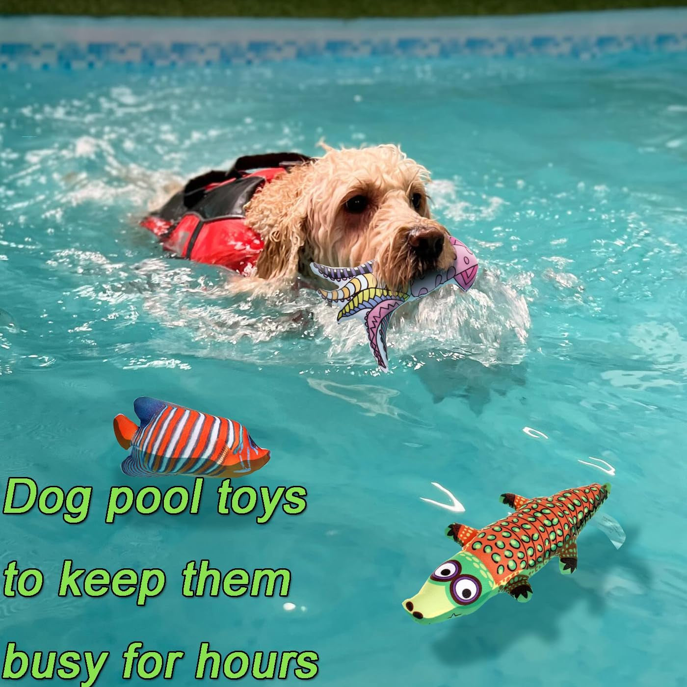 4 Pack Squeaky Dog Water Toys, Floating Dog Pool Toys, Cute Dog Summer Accessories for Small Medium Large Dogs