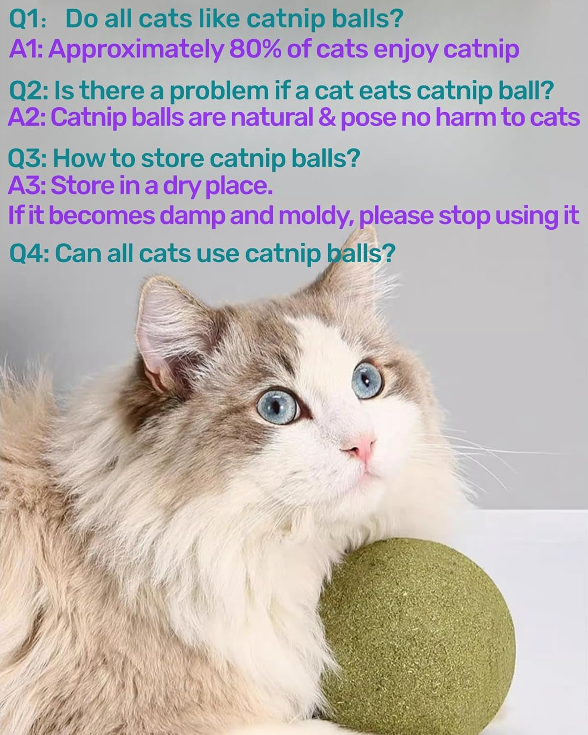 2PCS Cat Giant Catnip Balls, 4" Huge Catnip Ball for Indoor Cats, Kitten Big Catmint Ball Licker Toy, Organic Large Catnip Ball, Jumbo Catwort Toy for Cat (Catnip Balls 2PCS)