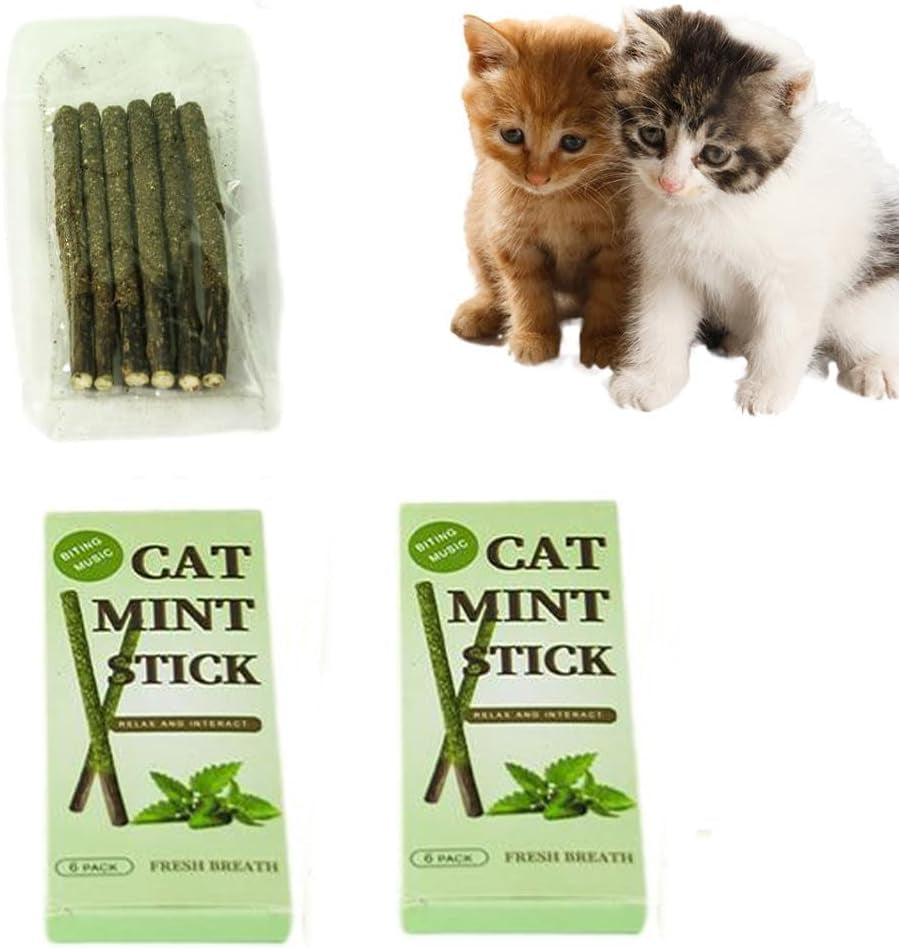 2 Box Silvervine Sticks for Cats, Matatabi Silvervine Sticks for Indoor Cats,Catnip Sticks, Teething Interactive Wand Toys for Cats,Cat Accessories,