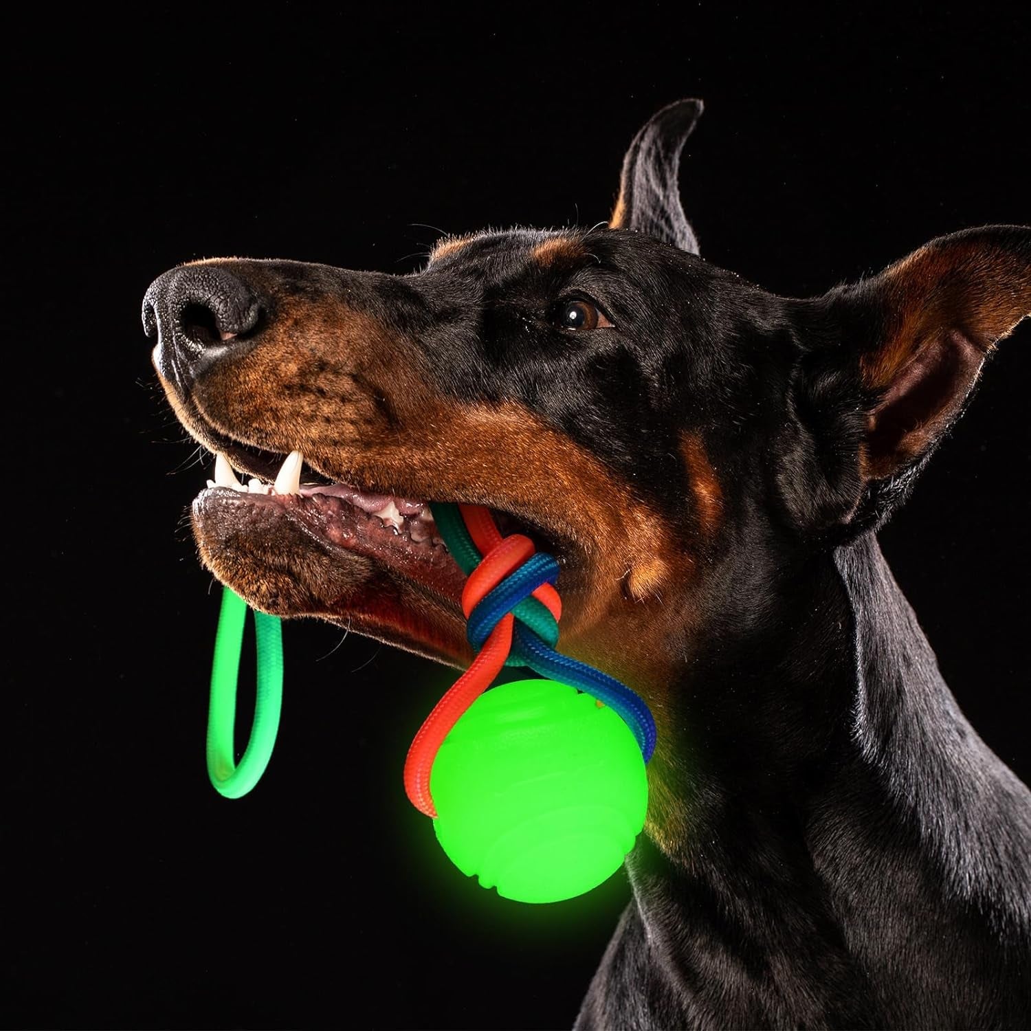 2 Pcs Dog Training Ball on Rope Glow in the Dark Dog Ball 2.36 Inch Dog Rope Toys with 12 Inch Rope for Small Large Medium Dogs Glowing Interactive Dog Pull Reward Fetch Exercise Ball Toy