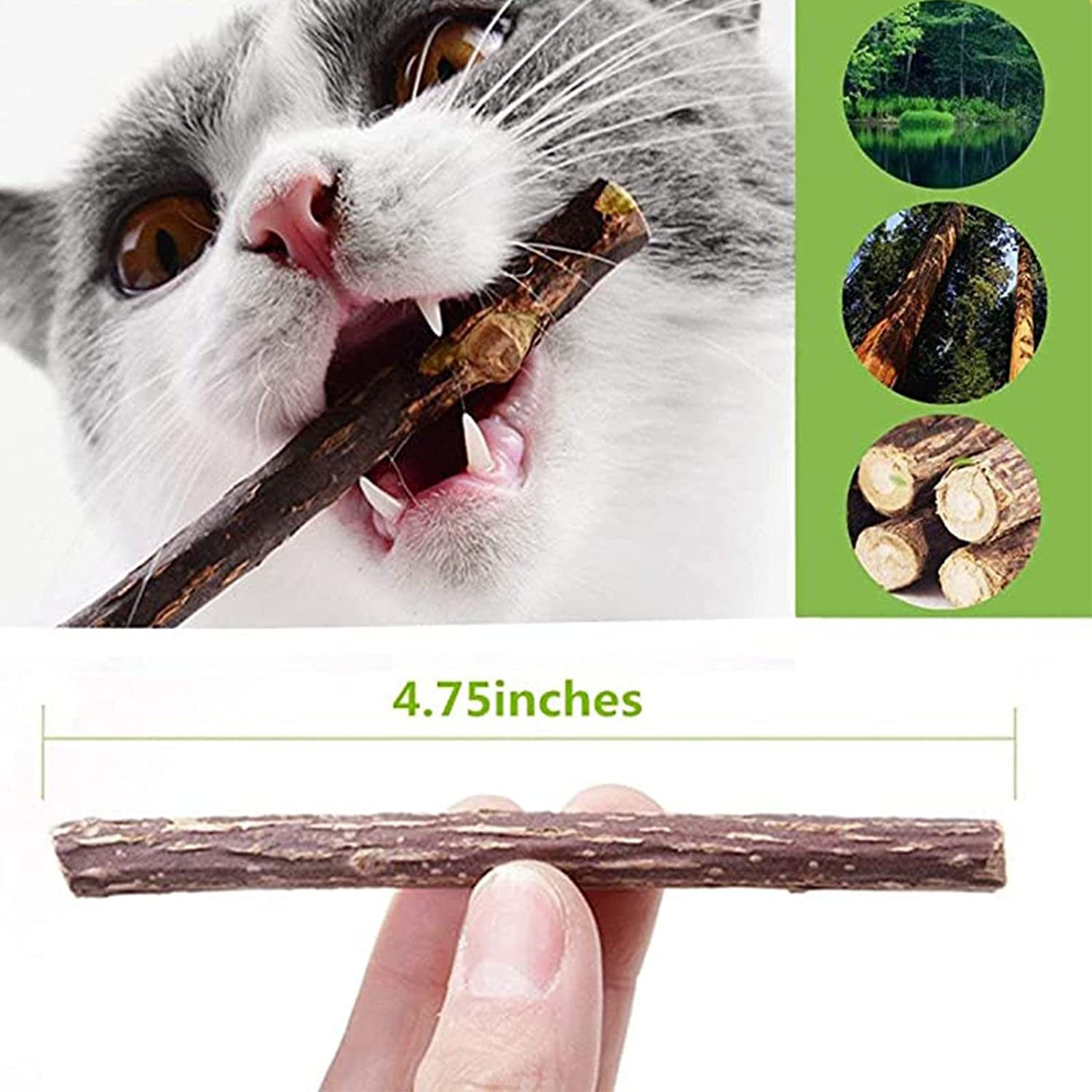 10 PCS Catnip Sticks Organic Cat Chew Toys Natural Plant Matatabi Silvervine Chew Sticks Cat Teeth Cleaning Chew Toy Cat Kitten Kitty 1